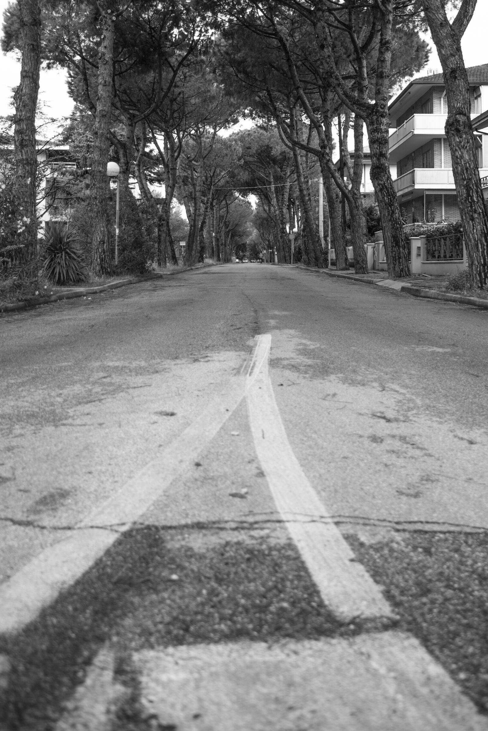 Nikon D600 sample photo. Black, italy, road, street photography