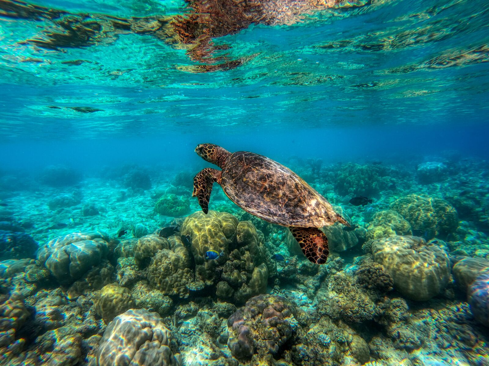 GoPro Hero7 Black sample photo. Paradise, explore, make to photography