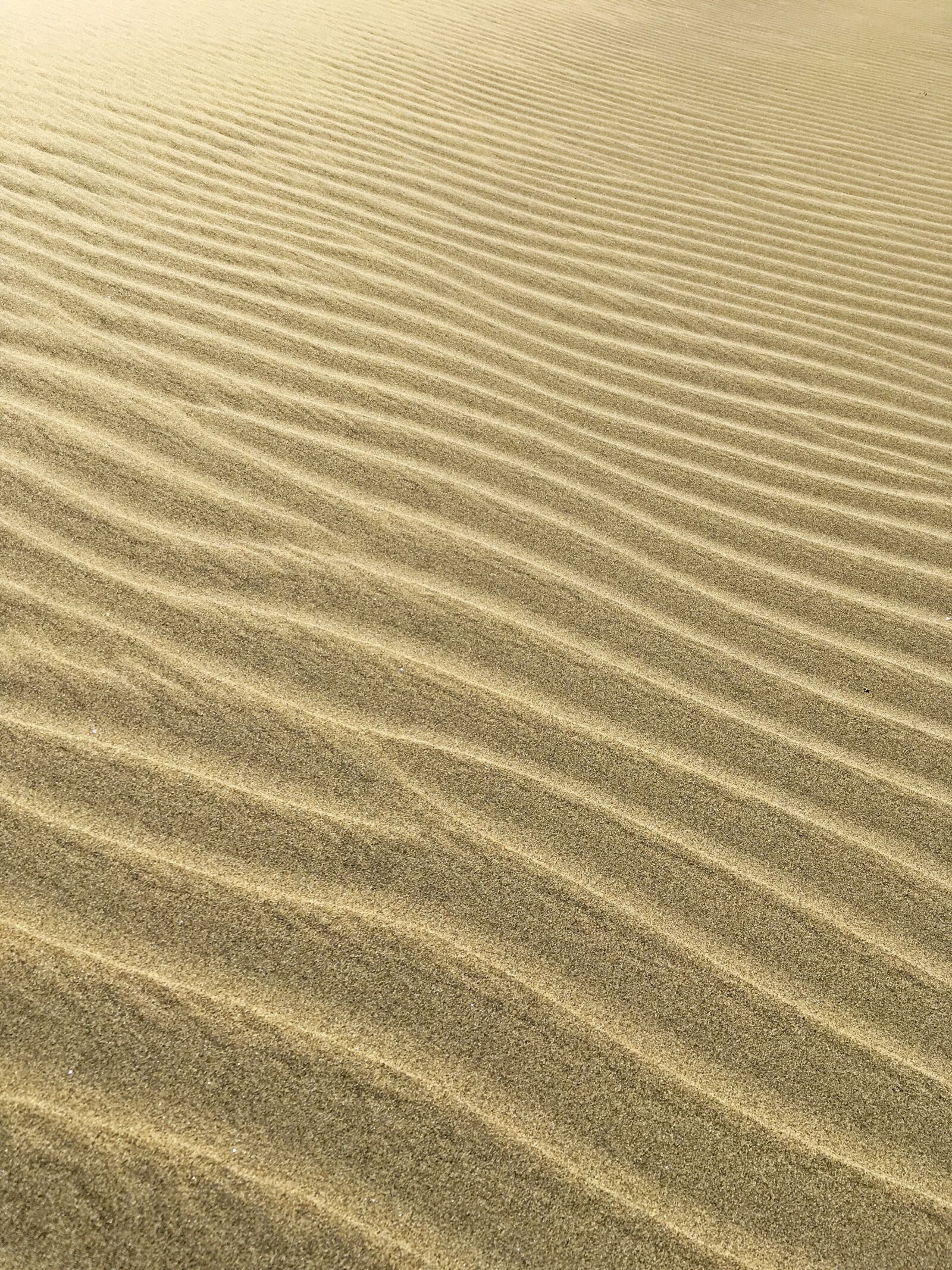 Apple iPad Pro sample photo. Sand, pattern, sand pattern photography