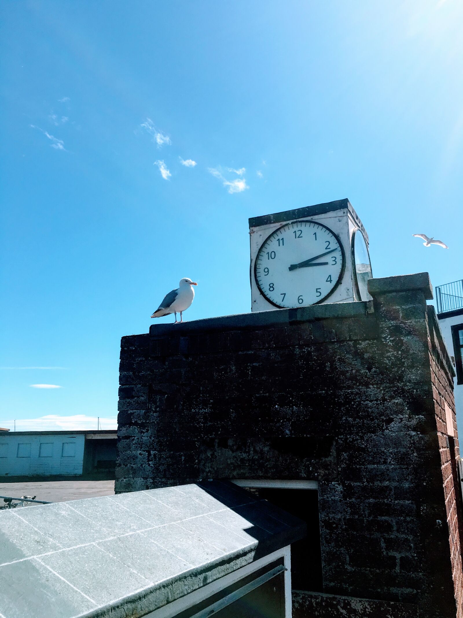 Apple iPhone 6s sample photo. Beach, bell, tower, brighton photography