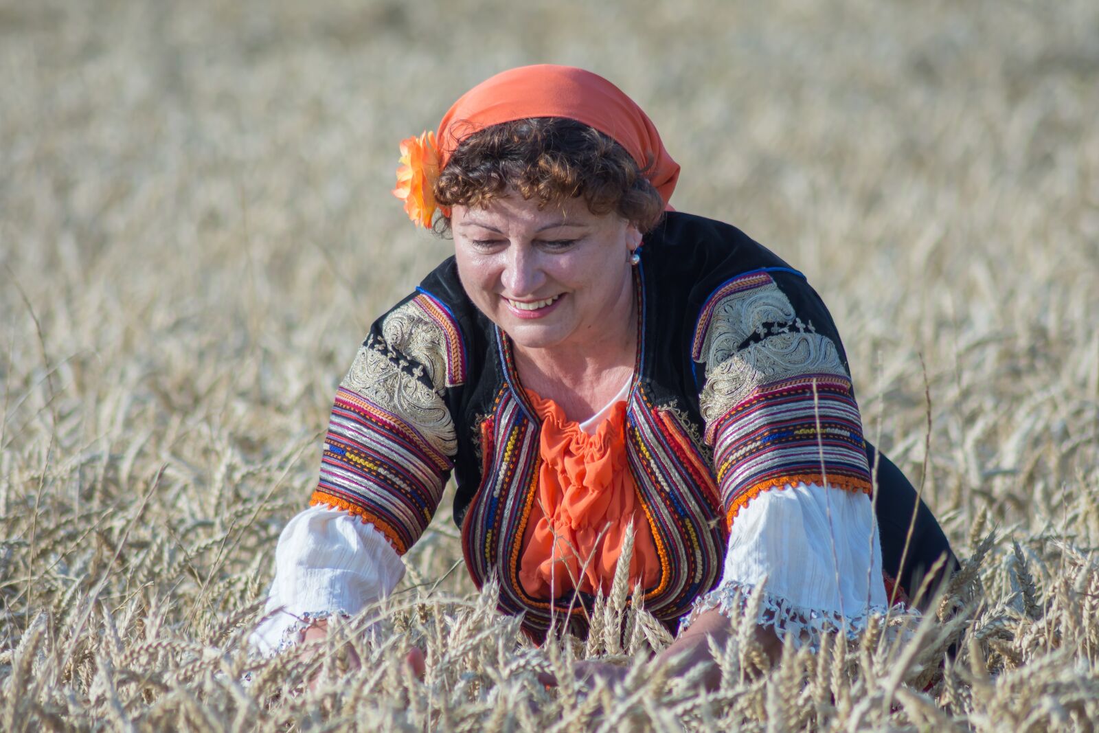 Nikon D7200 sample photo. Harvest, summer, nature photography