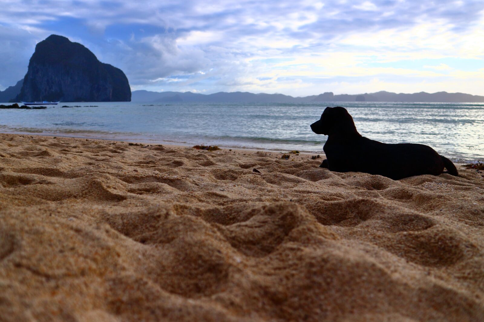 Canon EOS M10 sample photo. Dog, beach, sand photography