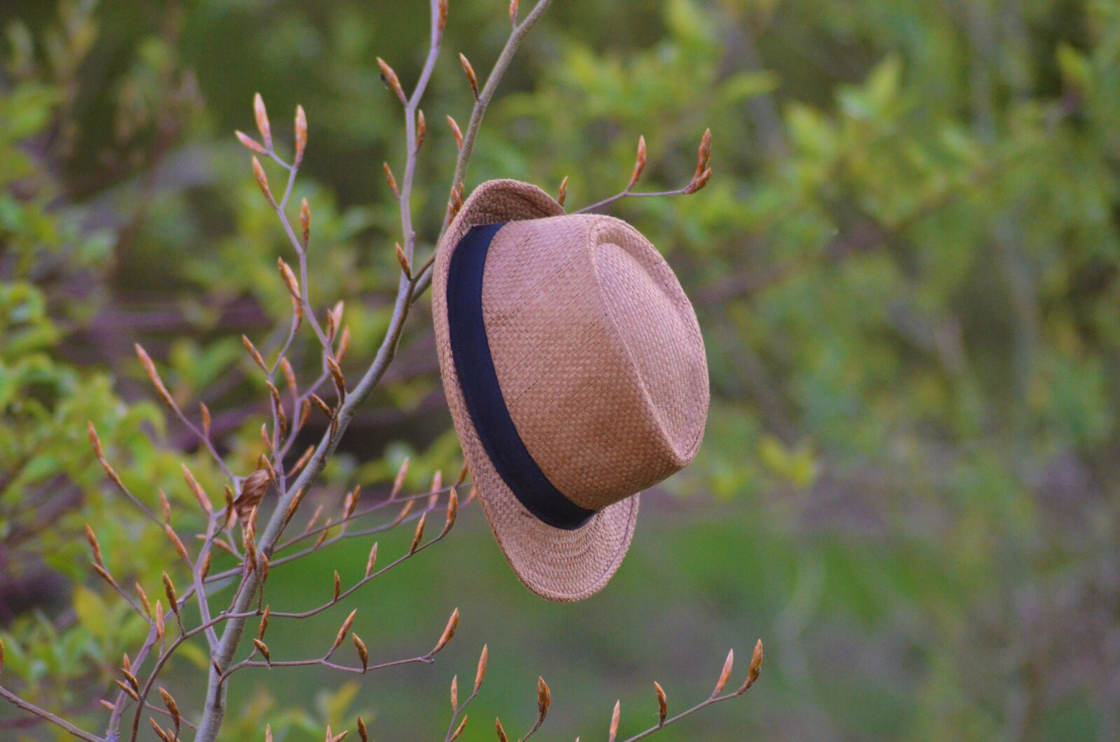 Nikon D5100 sample photo. Straw hat, bremerv rde photography
