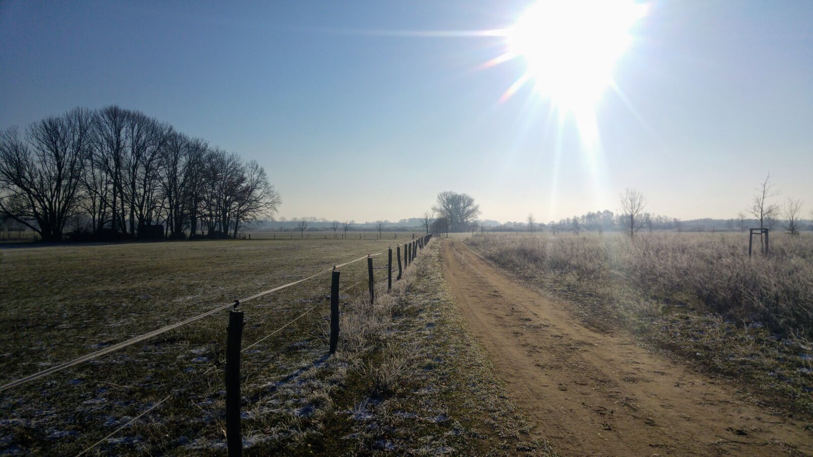 LG G4 sample photo. Germany, brandenburg, baruth photography