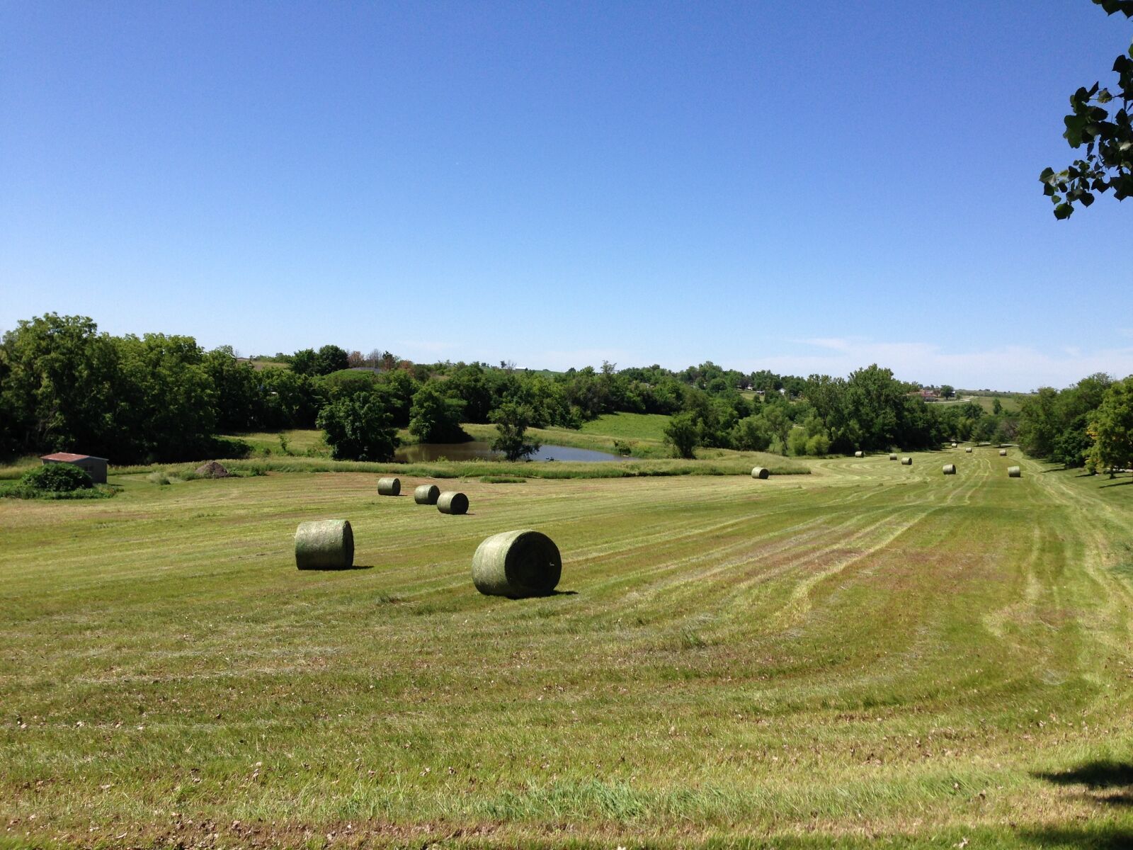 iPhone 5 back camera 4.12mm f/2.4 sample photo. Hay, bale, field photography