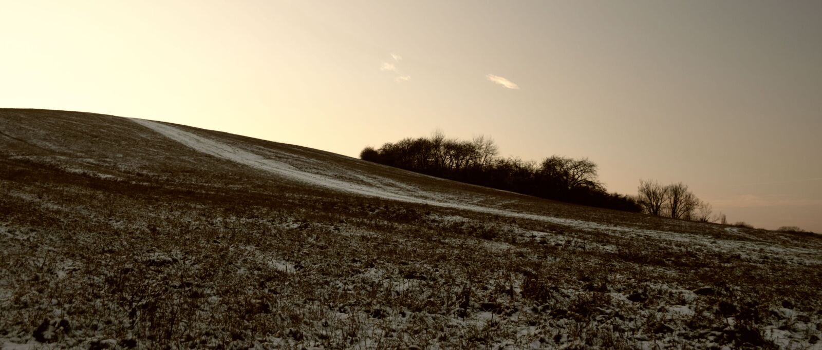 Nikon D5300 sample photo. Meadow, winter, trees photography