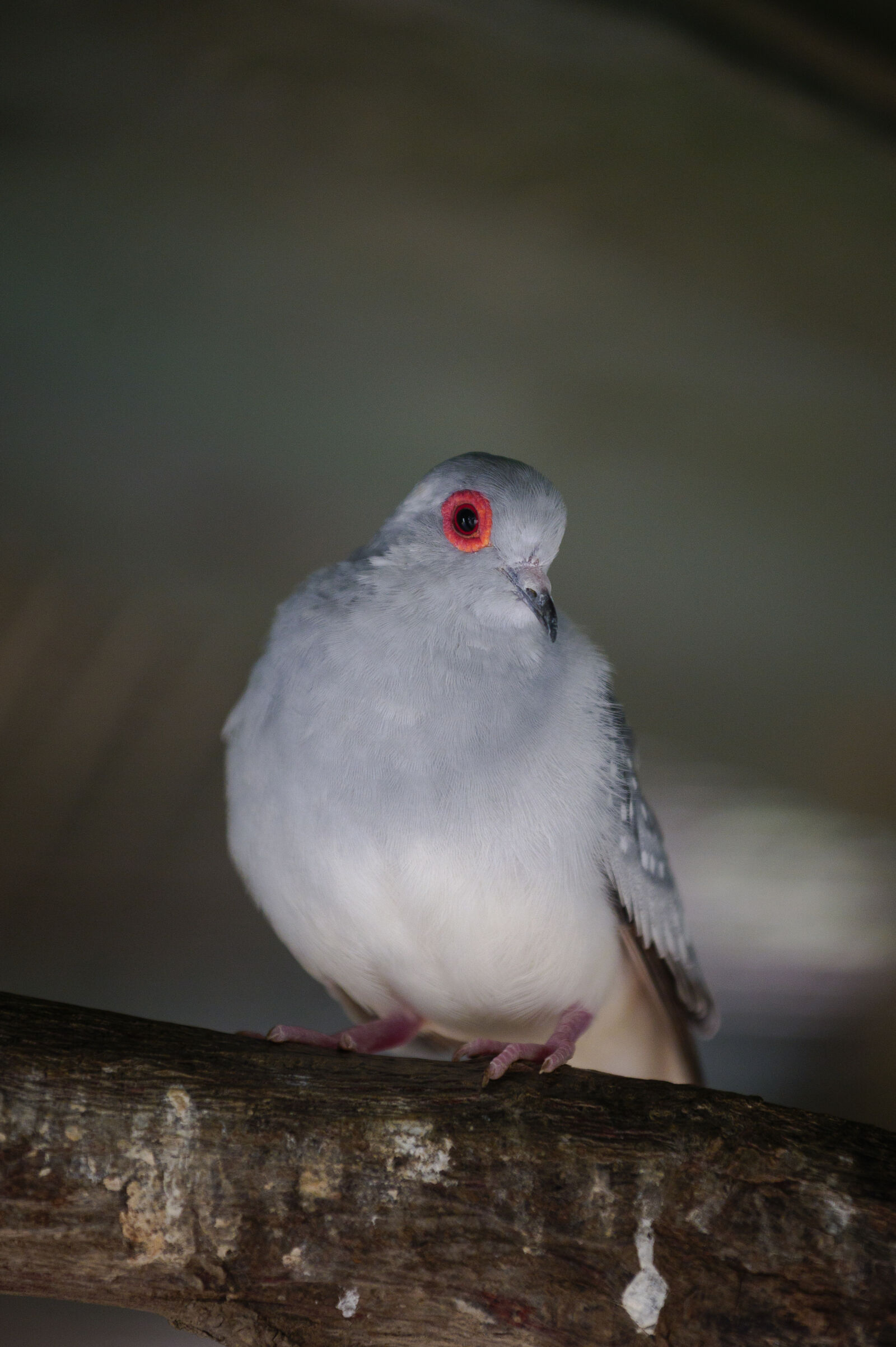 Nikon Z6 sample photo