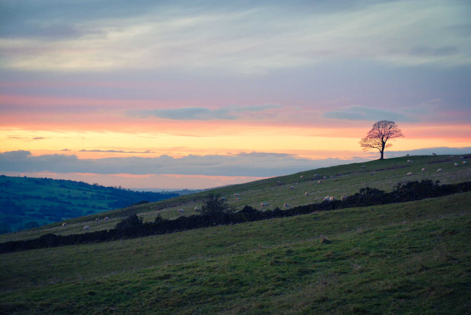 Sigma 17-50mm F2.8 EX DC OS HSM sample photo. Cloud, hill, sheep, sunset photography
