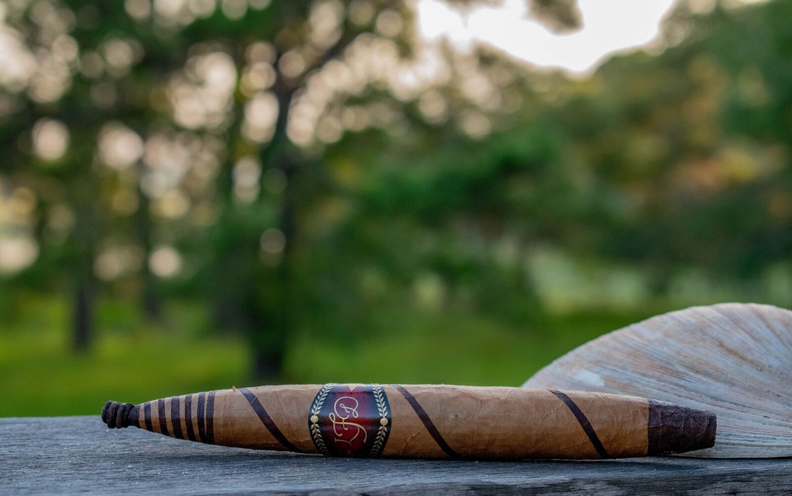 Nikon D5600 sample photo. Cigar, coastal, tobacco photography