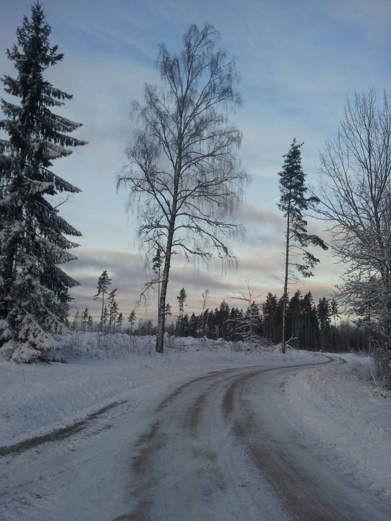 Samsung Galaxy S2 sample photo. Sweden, winter, walk photography
