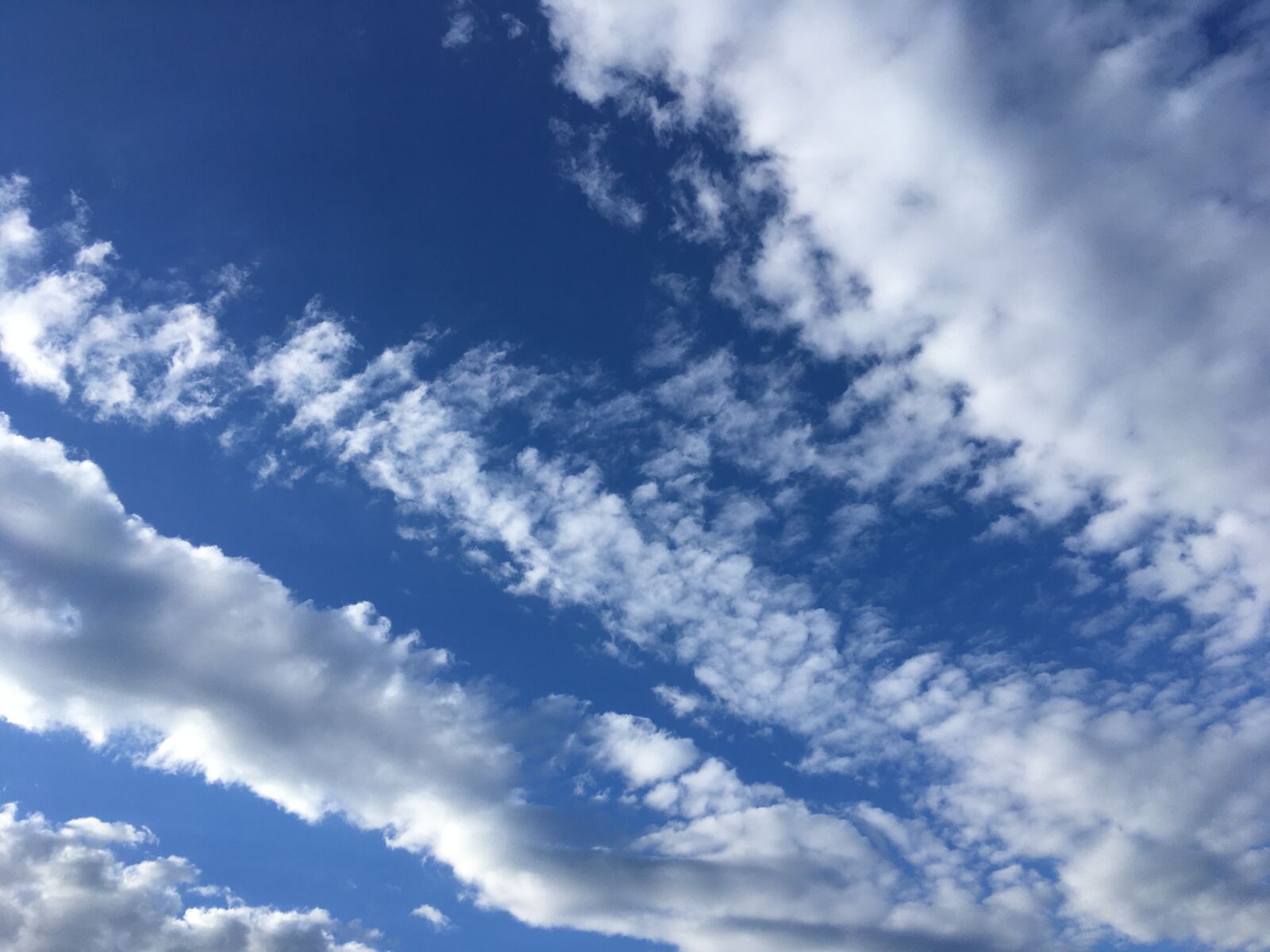 iPhone SE back camera 4.15mm f/2.2 sample photo. Sky, clouds, nature photography