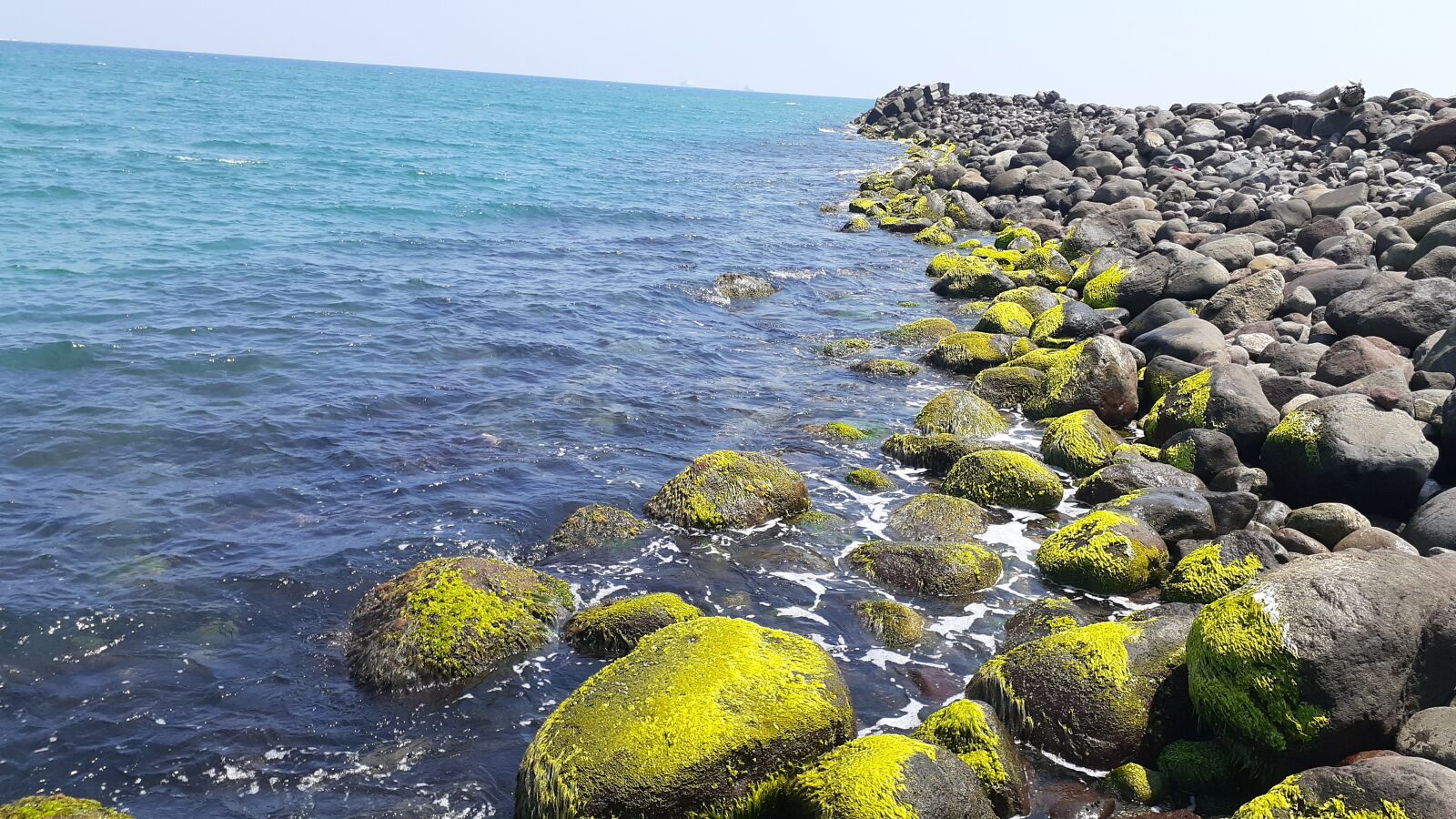 Samsung Galaxy A20 sample photo. Veracruz, port, on a photography