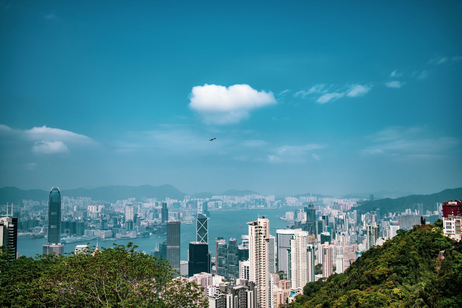 Nikon D5500 sample photo. City, building, city view photography
