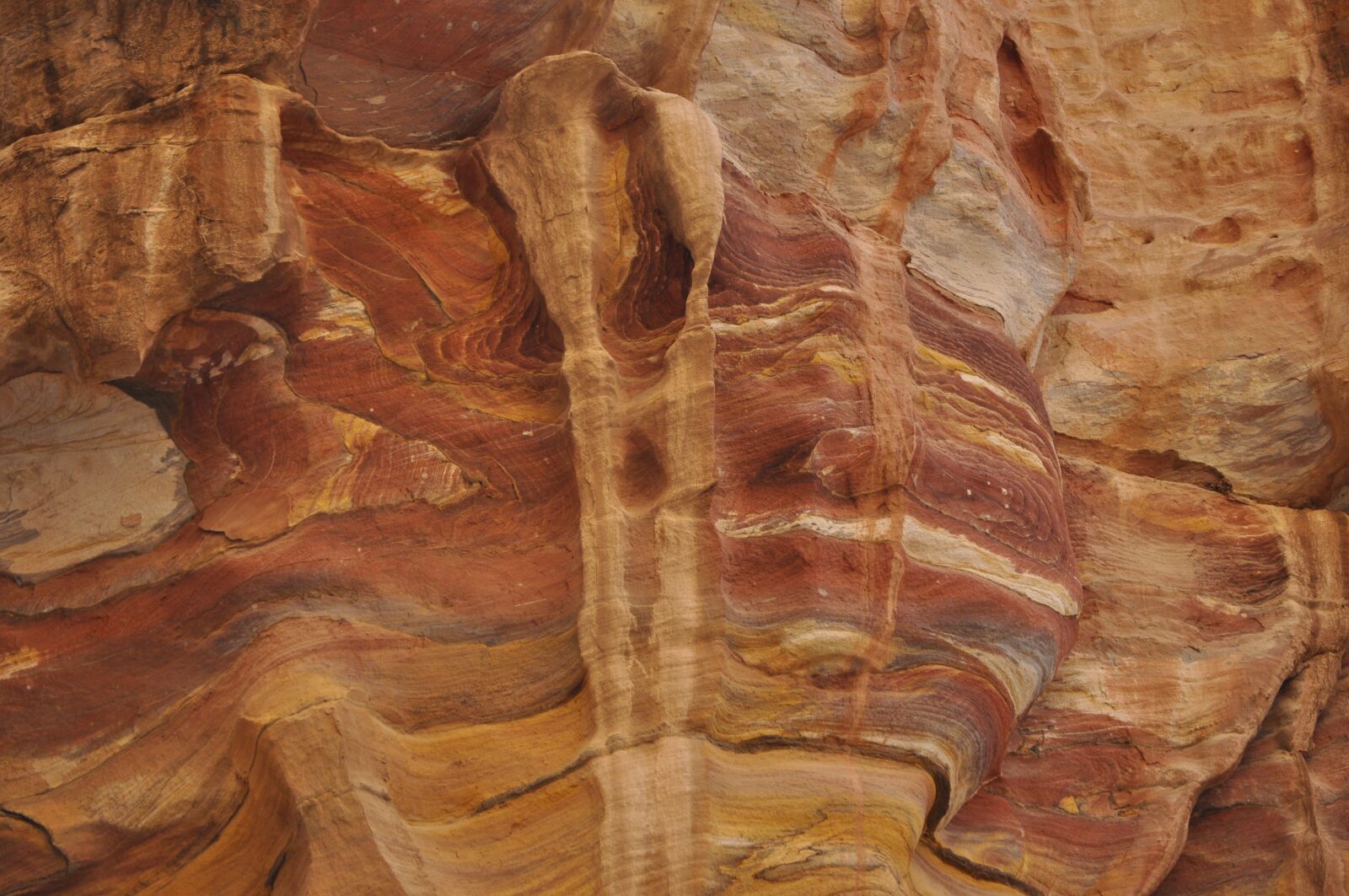 Nikon D5000 sample photo. Petra, stone, pink city photography