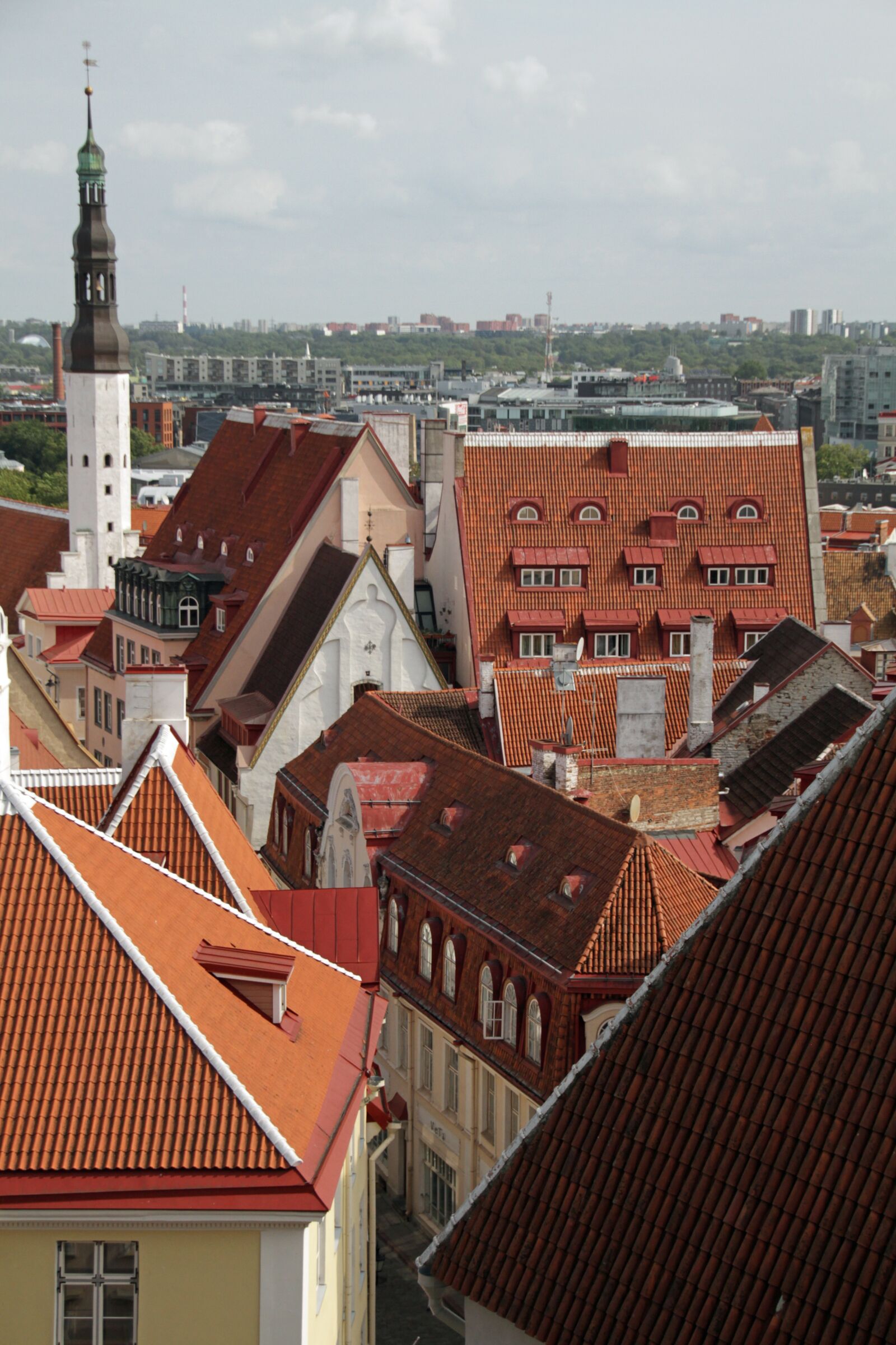 Canon EOS 7D sample photo. Roofs, view, architecture photography