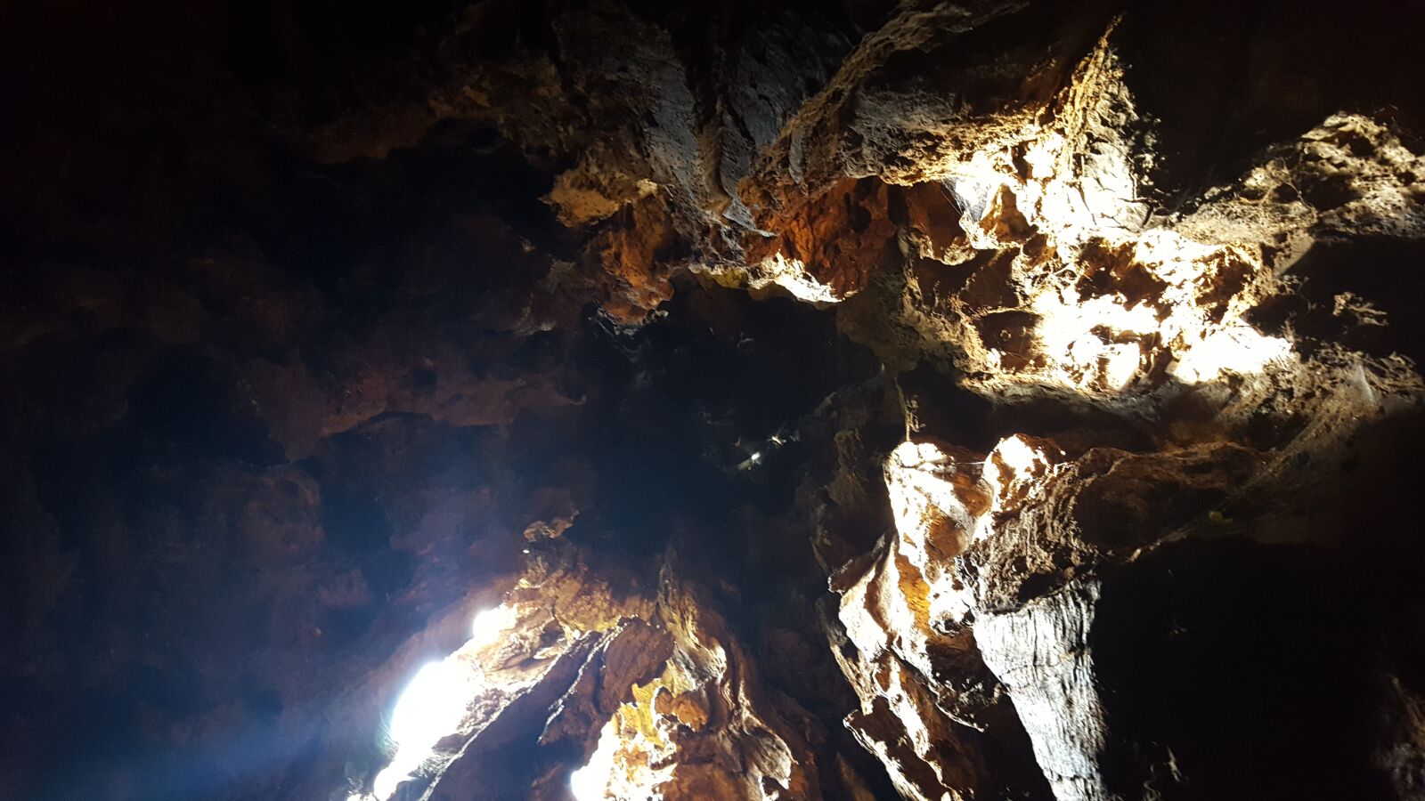 Samsung GALAXY S6 edge sample photo. Hollow shaft, trunk, nature photography