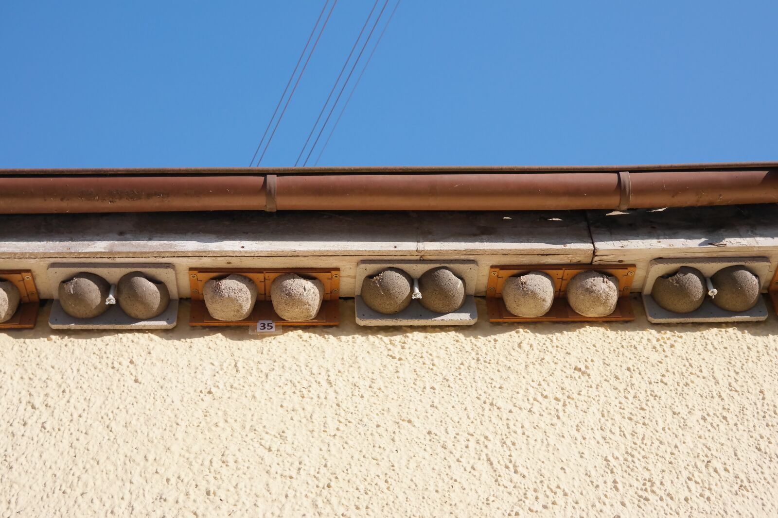 Samsung NX300 sample photo. Swallows, nests, bird nests photography