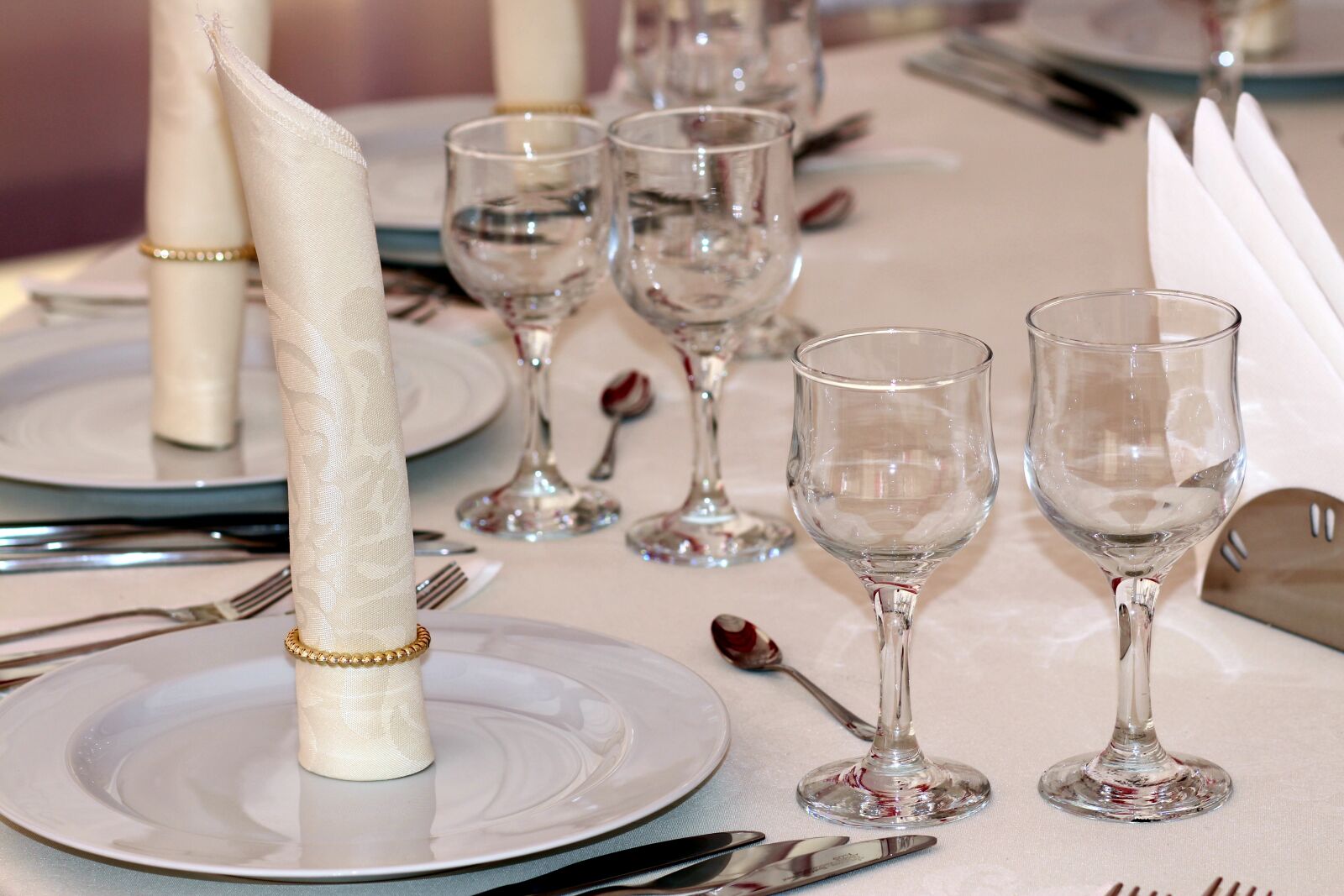 Canon EOS 700D (EOS Rebel T5i / EOS Kiss X7i) + Canon EF 85mm F1.8 USM sample photo. Table, event, plates photography