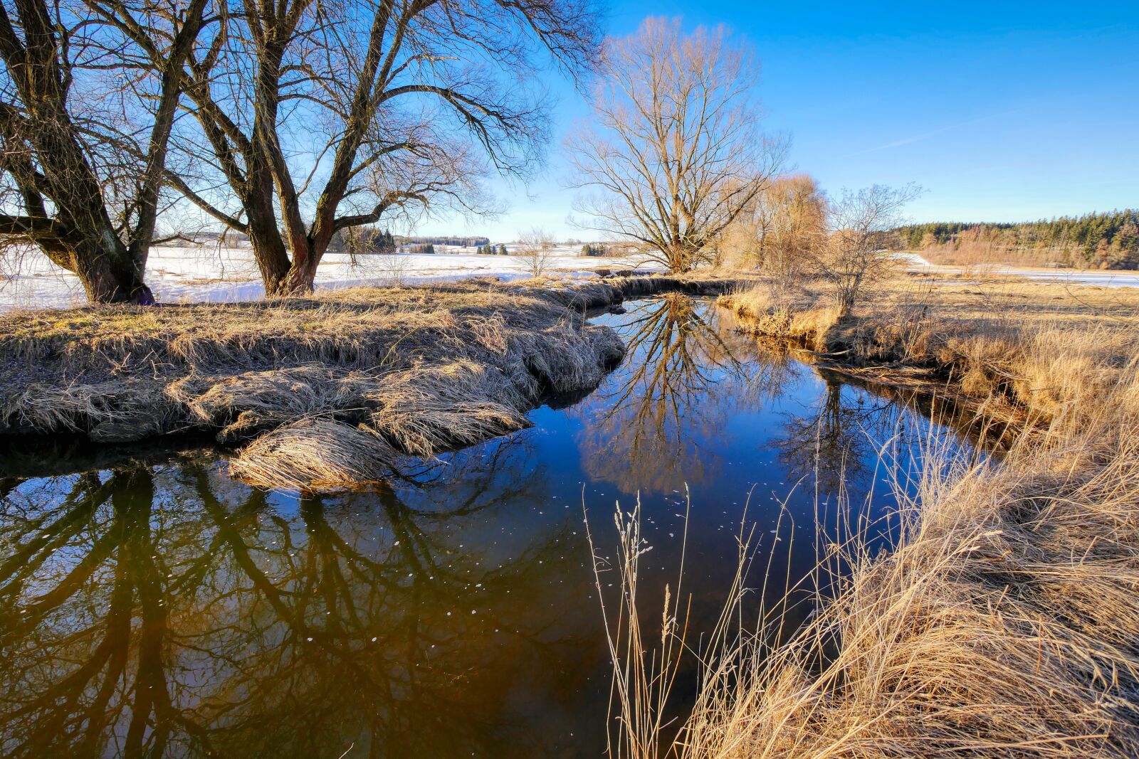 Panasonic Lumix DMC-GX8 sample photo. Bach, winter, creek photography