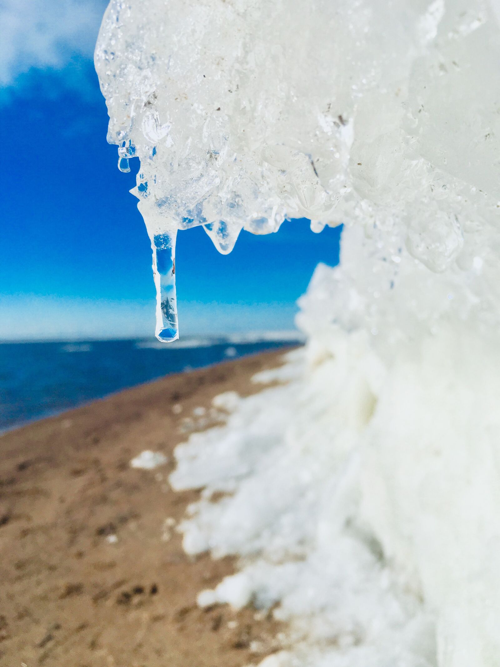 Apple iPhone 6s sample photo. Winter, beach, nature photography