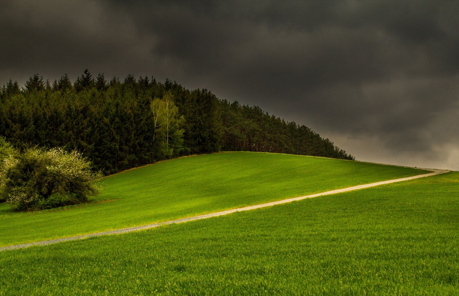 Canon EOS 60D sample photo. Thunderstorm, spring, fresh green photography