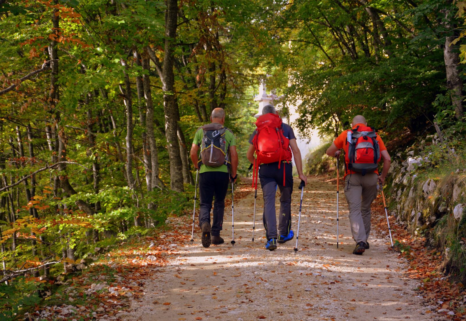 Nikon D7100 sample photo. Excursion, forest, autumn photography