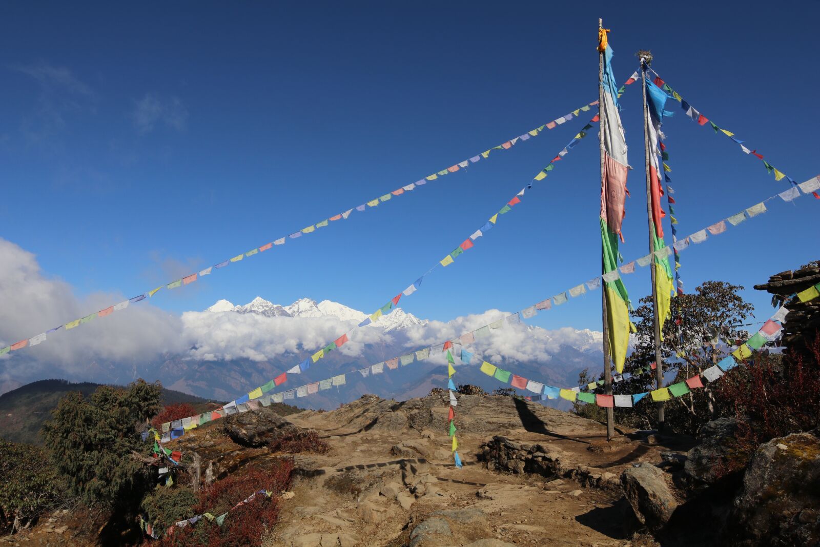 Canon EOS 80D sample photo. Langtang national park, langtang photography