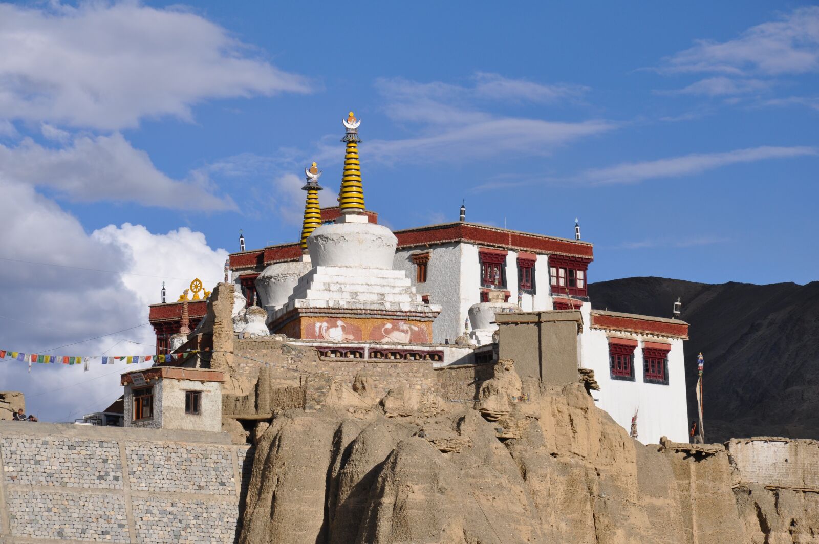 Nikon D90 sample photo. Ladakh, mountain, house photography