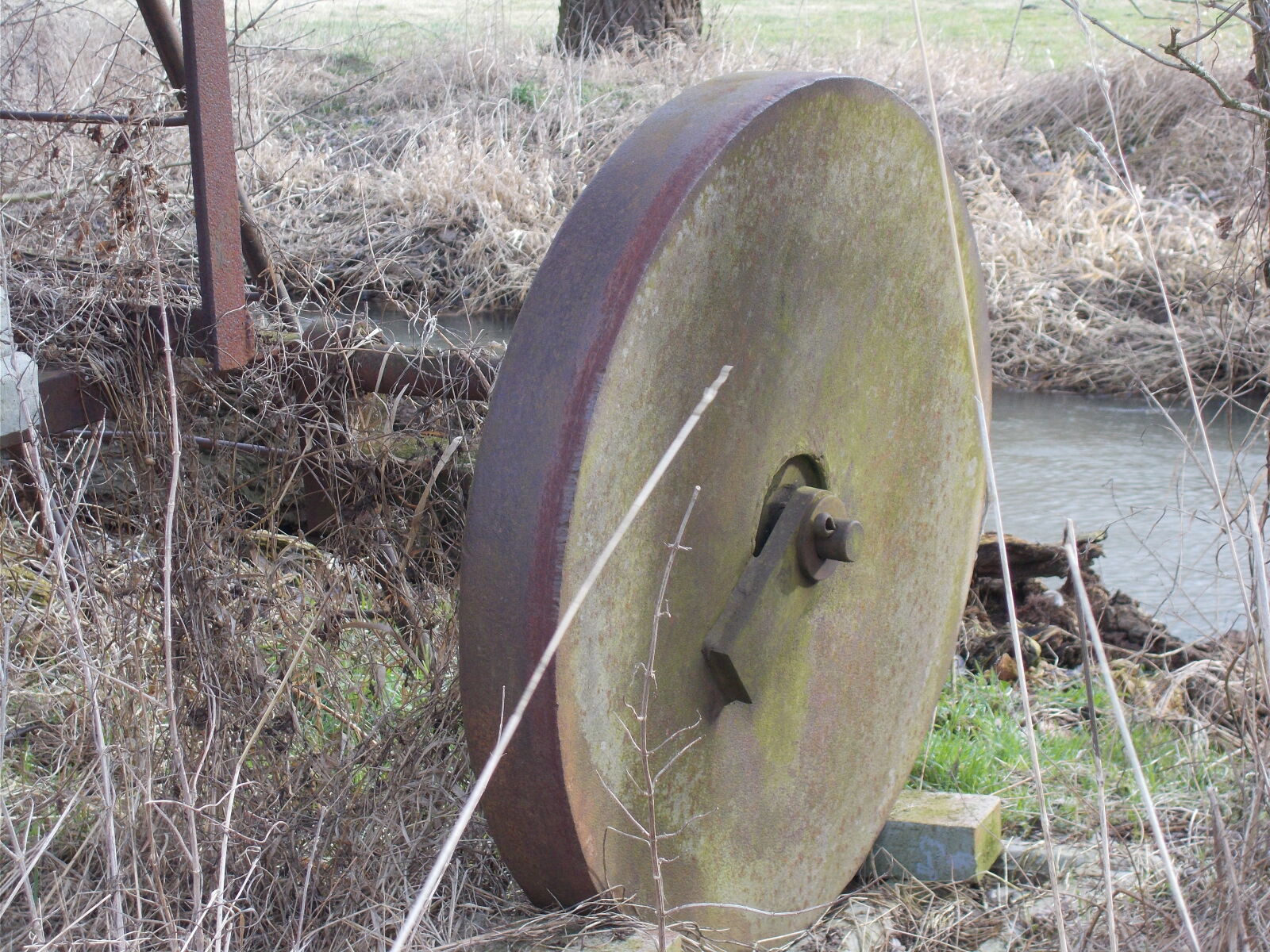 Nikon Coolpix L31 sample photo