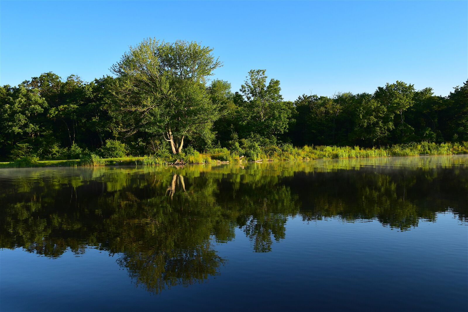 Nikon D3300 sample photo. Trees, lake, reflection photography