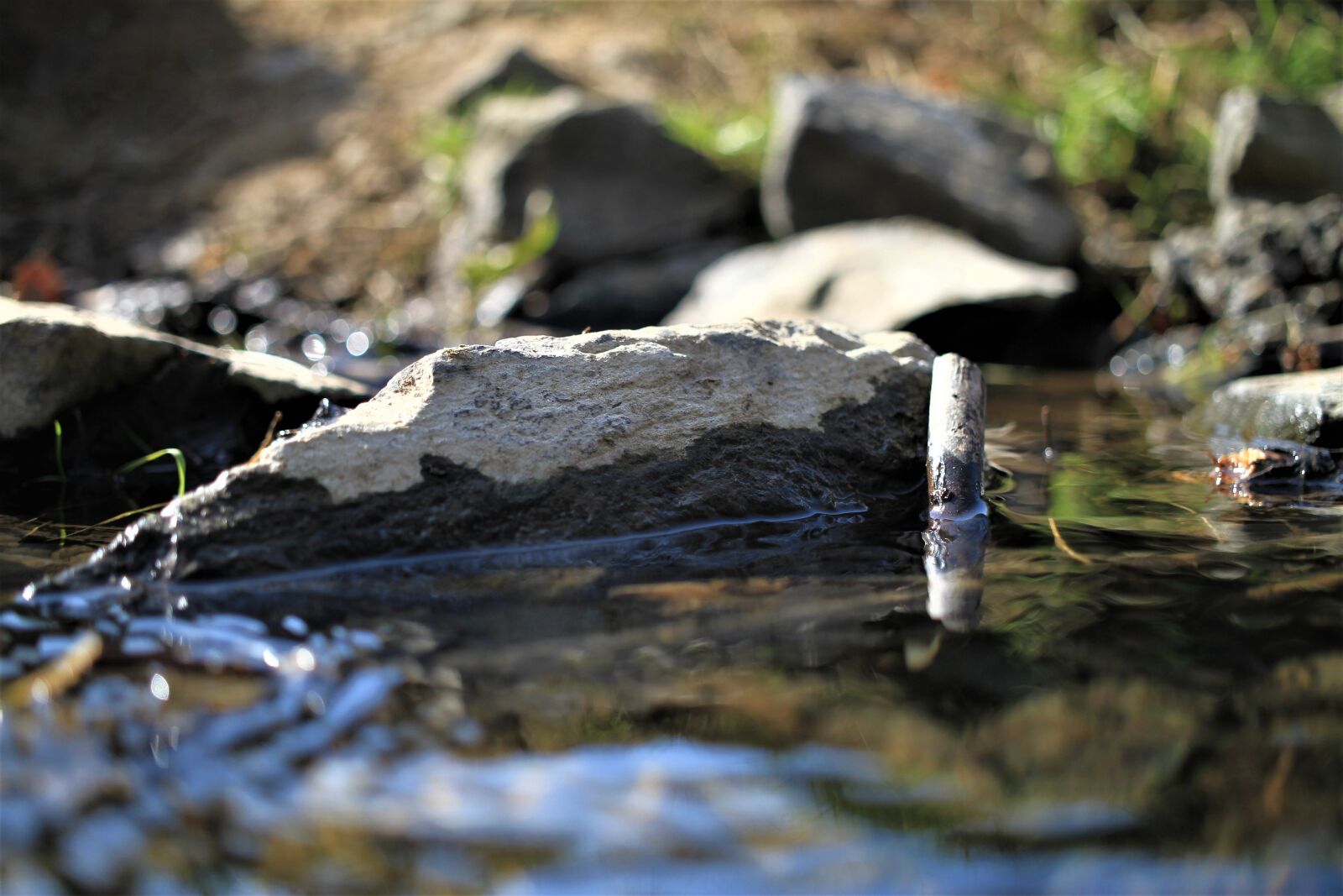Canon EOS 7D sample photo. Water, bach, stones photography