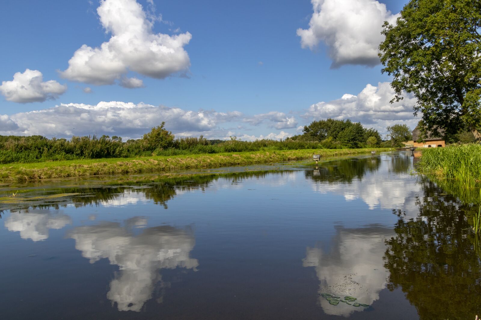 Canon EOS 750D (EOS Rebel T6i / EOS Kiss X8i) + Canon TS-E 90mm F2.8 Tilt-Shift sample photo. Pond, water, clouds photography