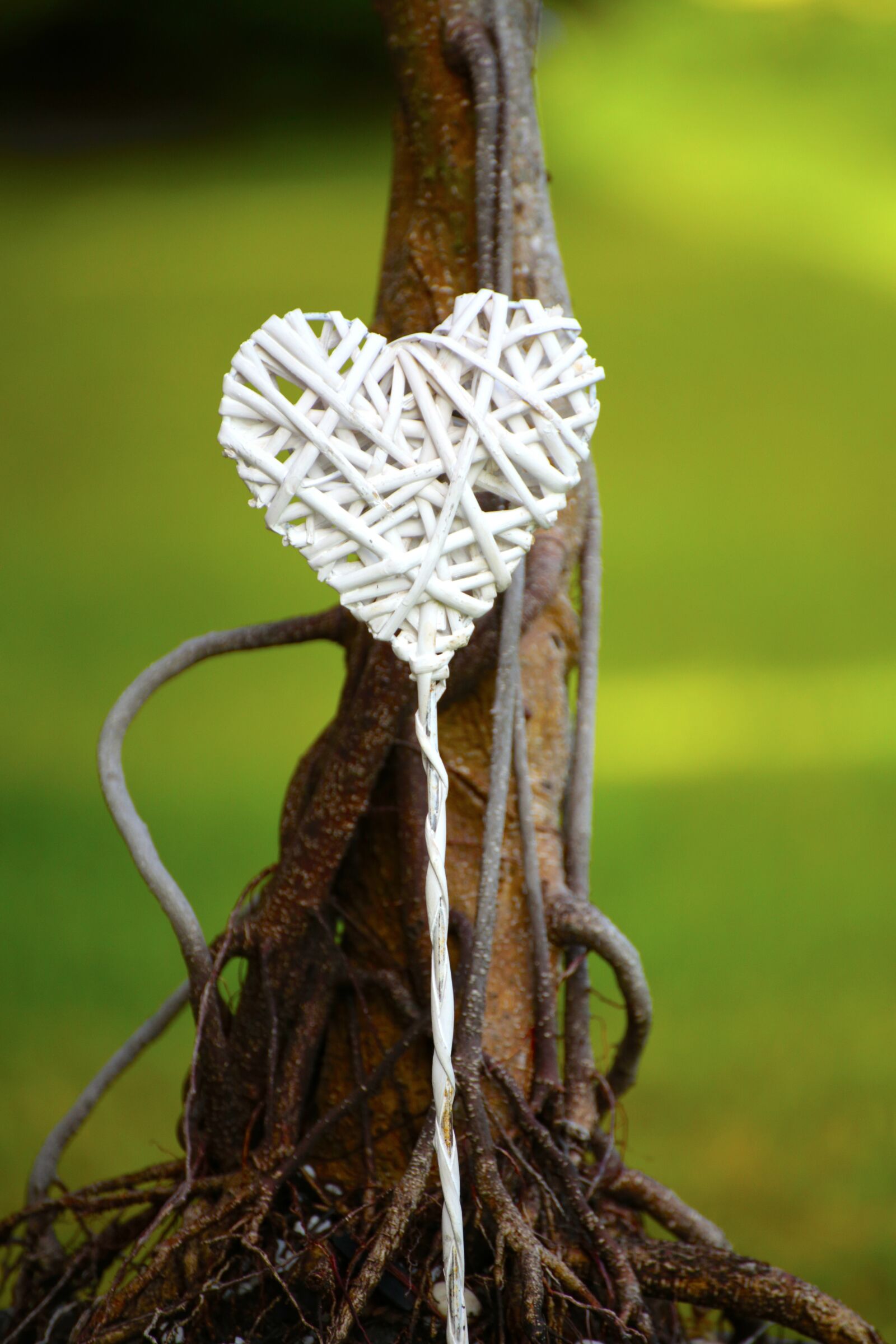 Canon EOS 6D sample photo. Heart, love, peace photography