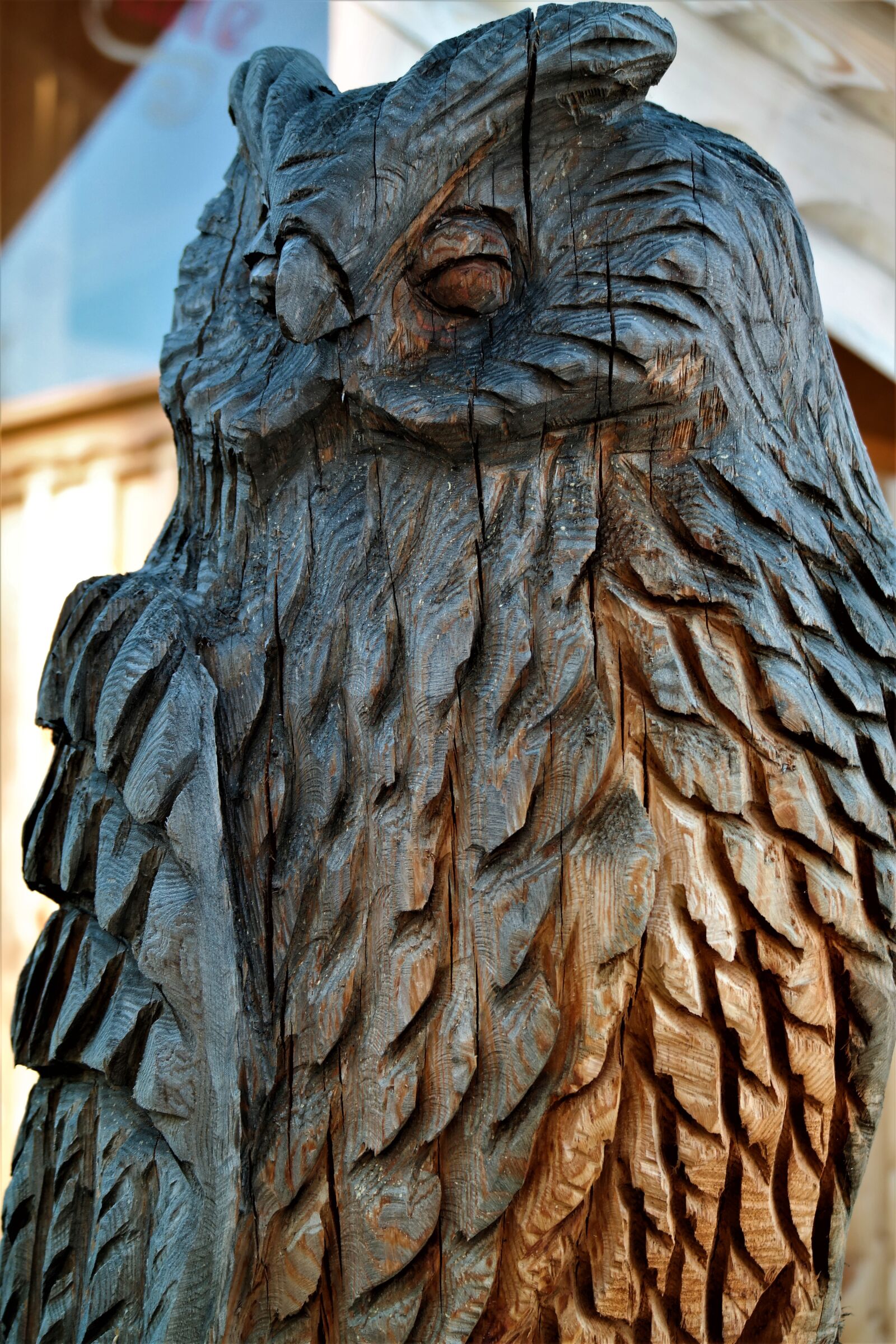 Samsung NX30 + NX 50-200mm F4-5.6 sample photo. Owl, wood, carving photography