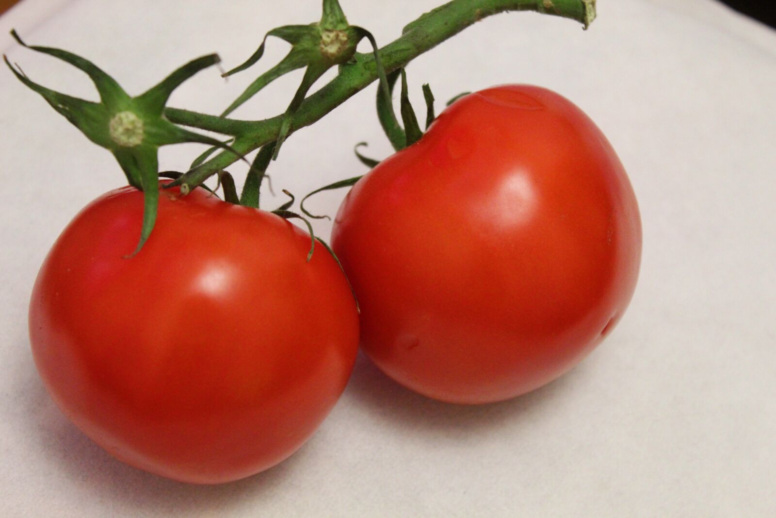 Canon EOS 4000D (EOS Rebel T100 / EOS 3000D) sample photo. Tomatoes, tomato, red photography