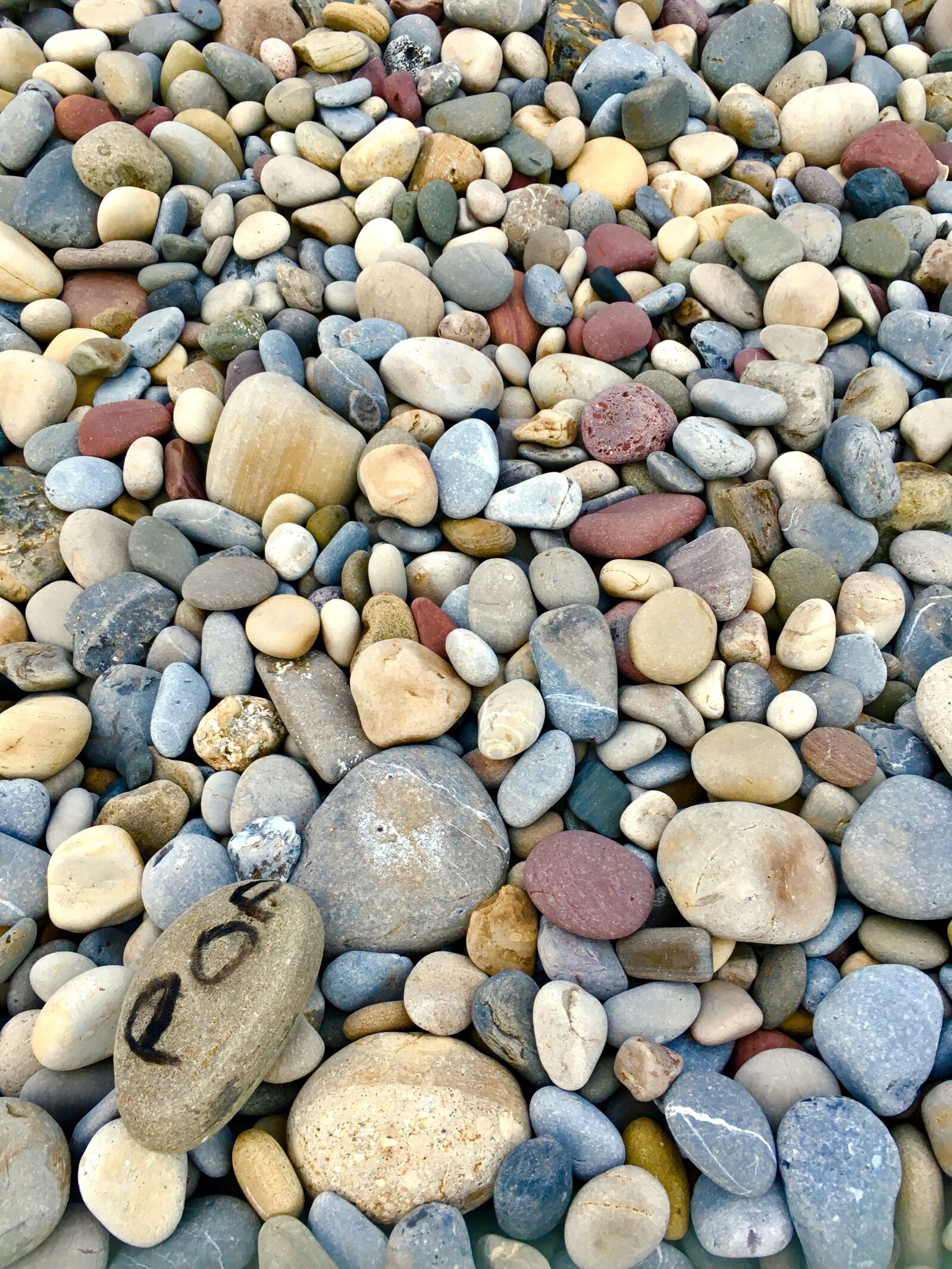 iPhone SE back camera 4.15mm f/2.2 sample photo. Pebbles, pebble, beach photography
