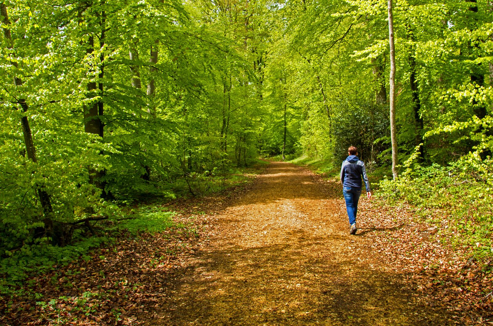 Canon EOS 7D sample photo. Green, walk in the photography