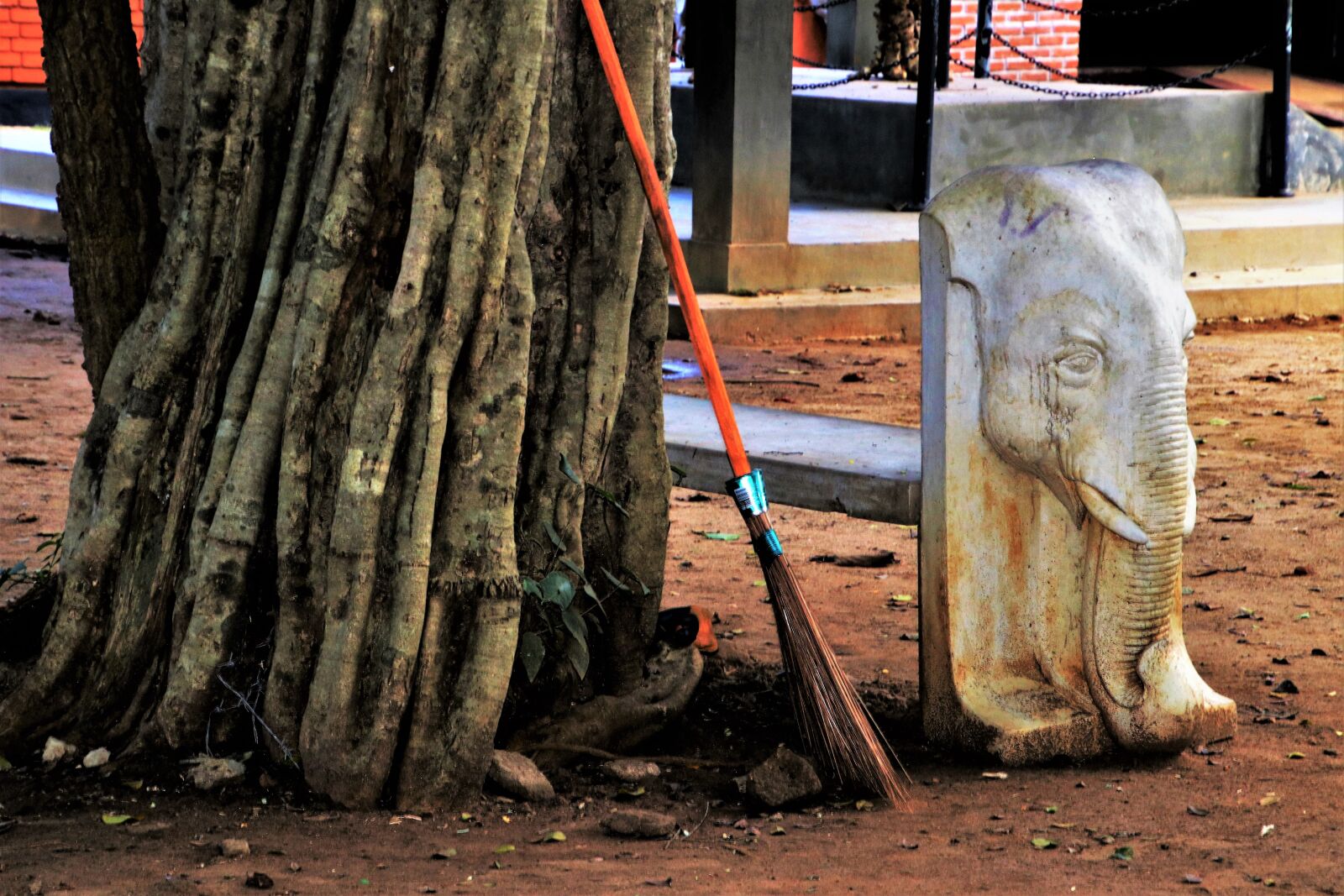 Canon EOS 80D sample photo. Elephant, park, no one photography
