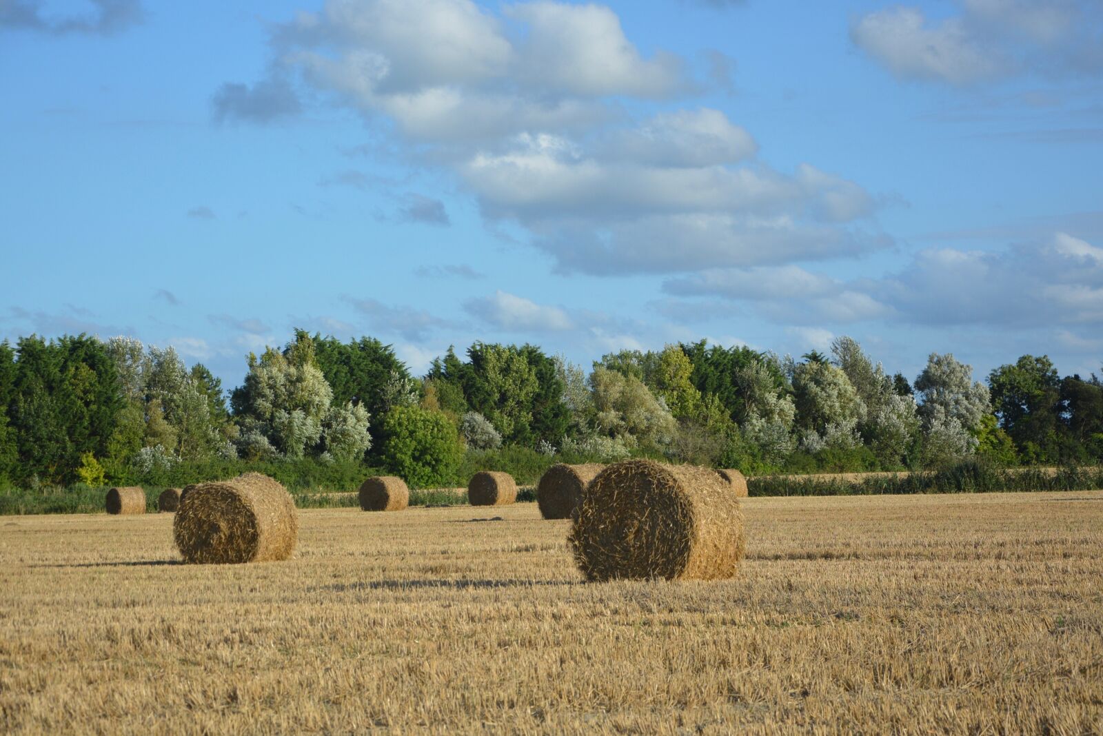 Nikon D5200 sample photo. Fields, field, nature photography