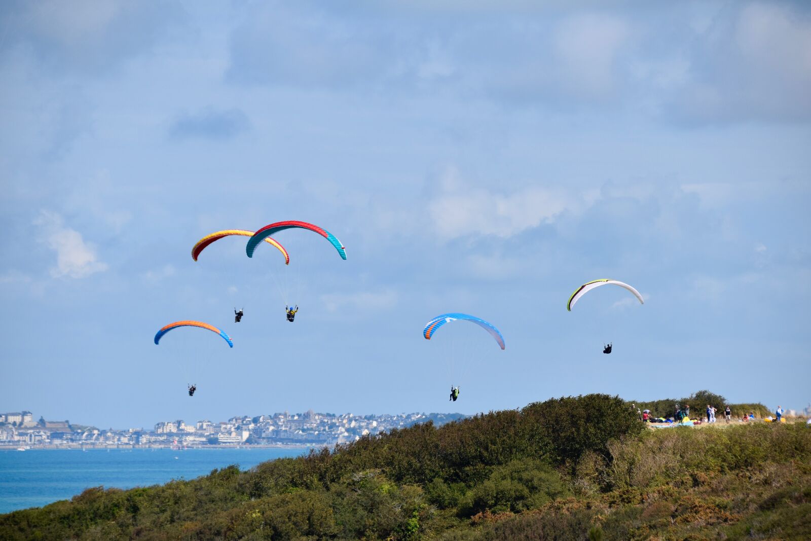 Nikon D5600 sample photo. Panoramic views, site of photography