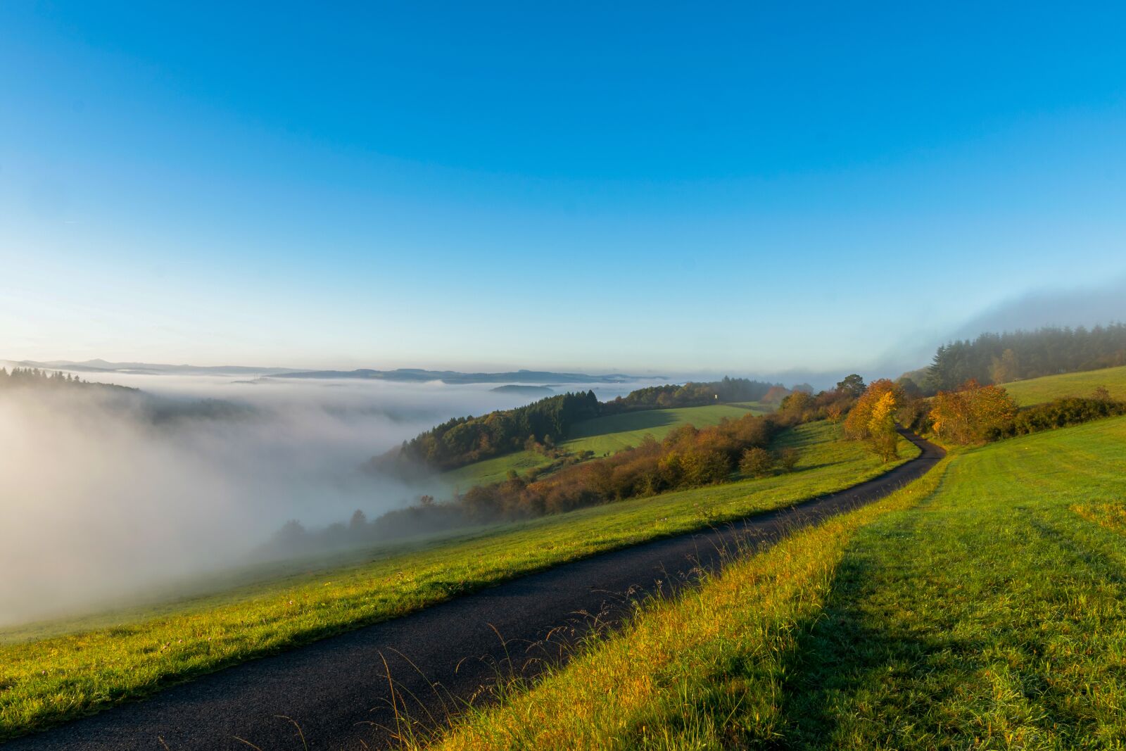 Nikon D5300 sample photo. Fog, trail, nature photography