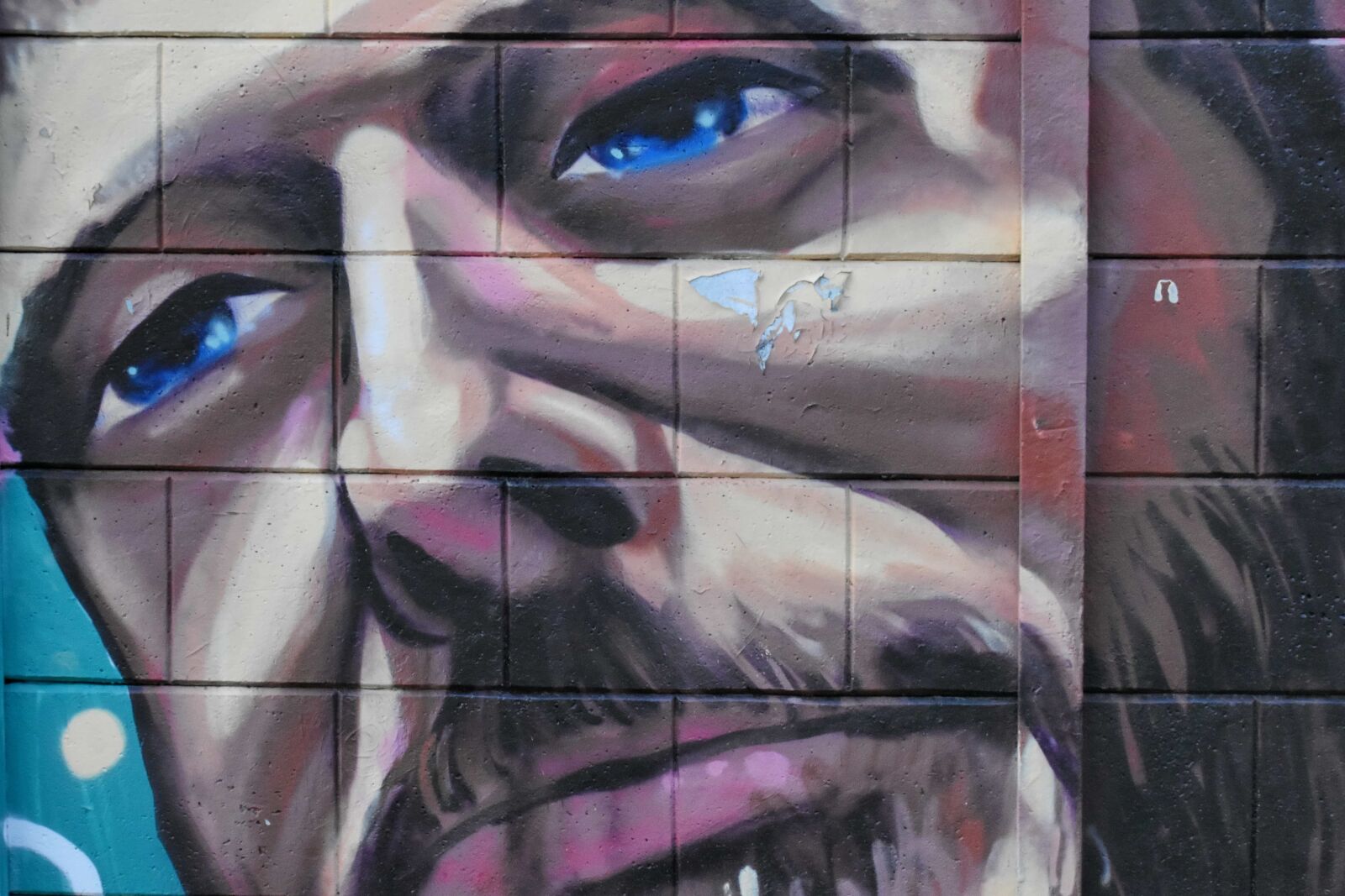Nikon D5500 sample photo. Man, mustache, portrait, vandalism photography