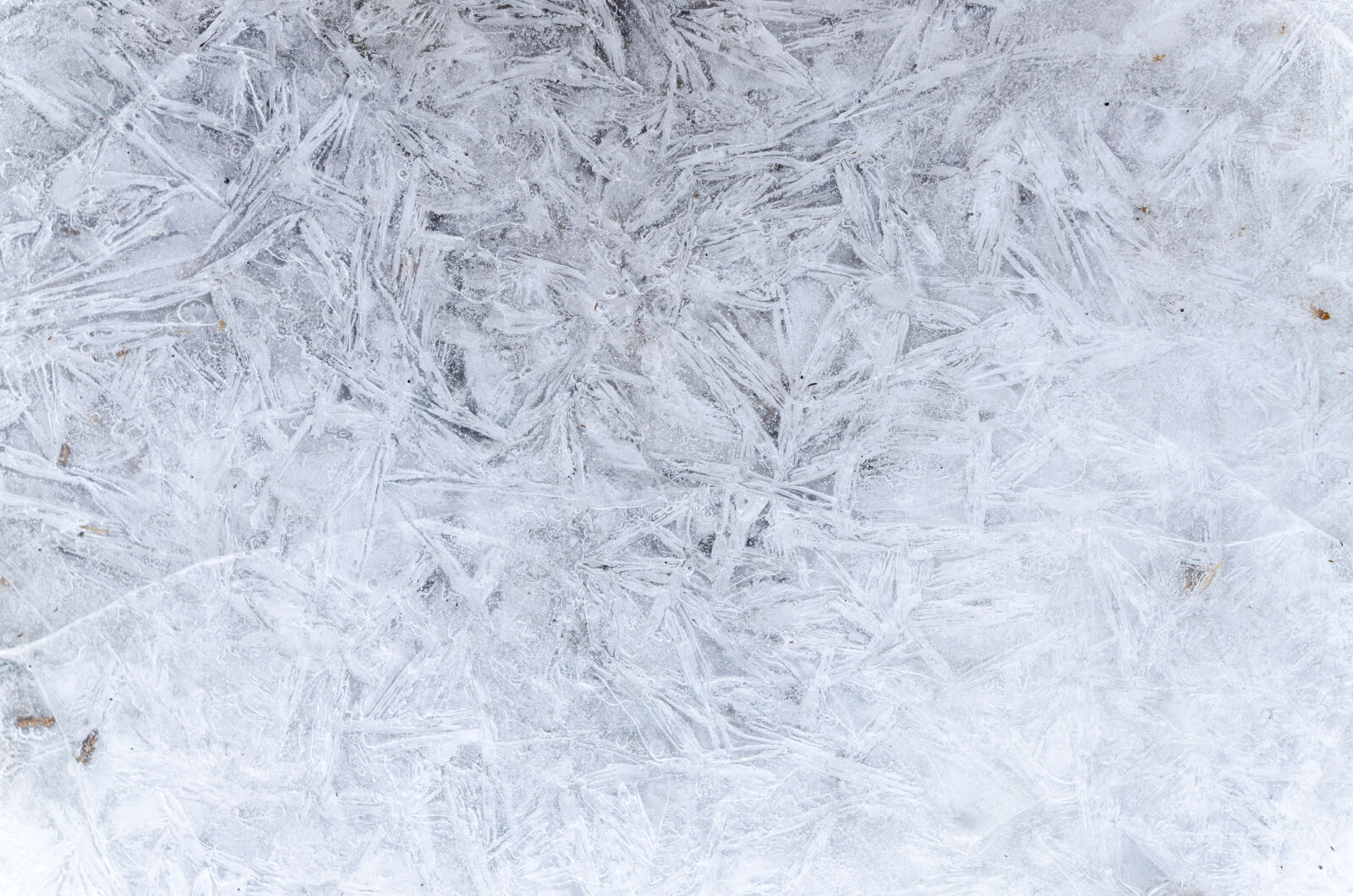 Nikon D5100 sample photo. Abstract, arctic, backdrop, background photography