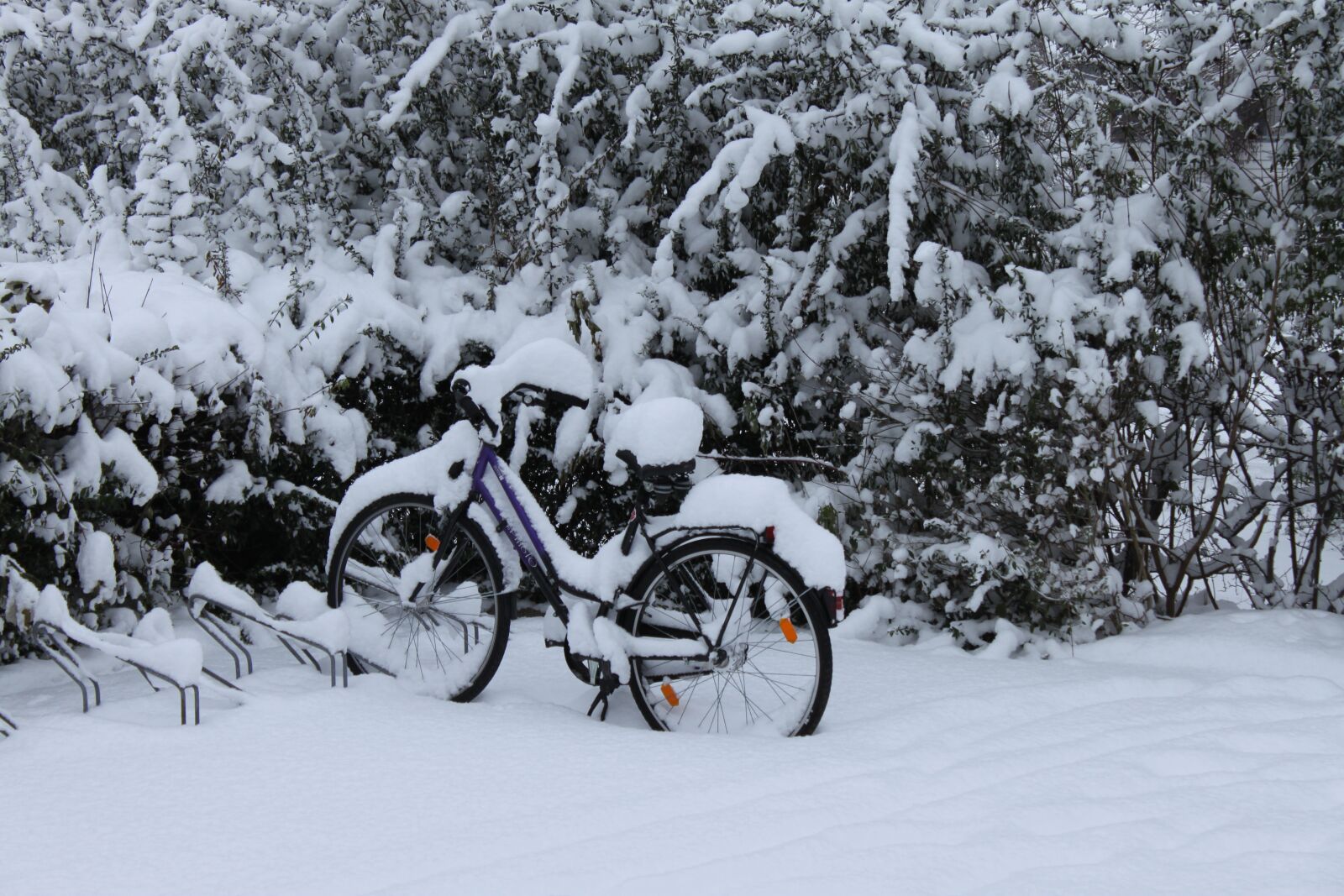 Canon EOS 500D (EOS Rebel T1i / EOS Kiss X3) sample photo. Bike, winter, snow photography