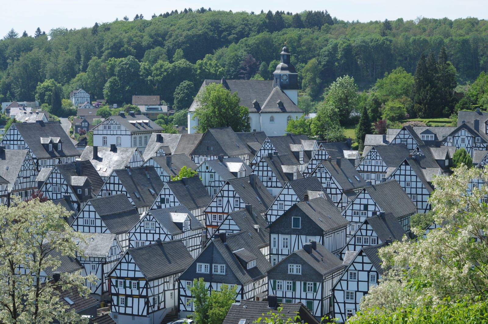 Nikon D90 sample photo. Landscape, old town, architecture photography