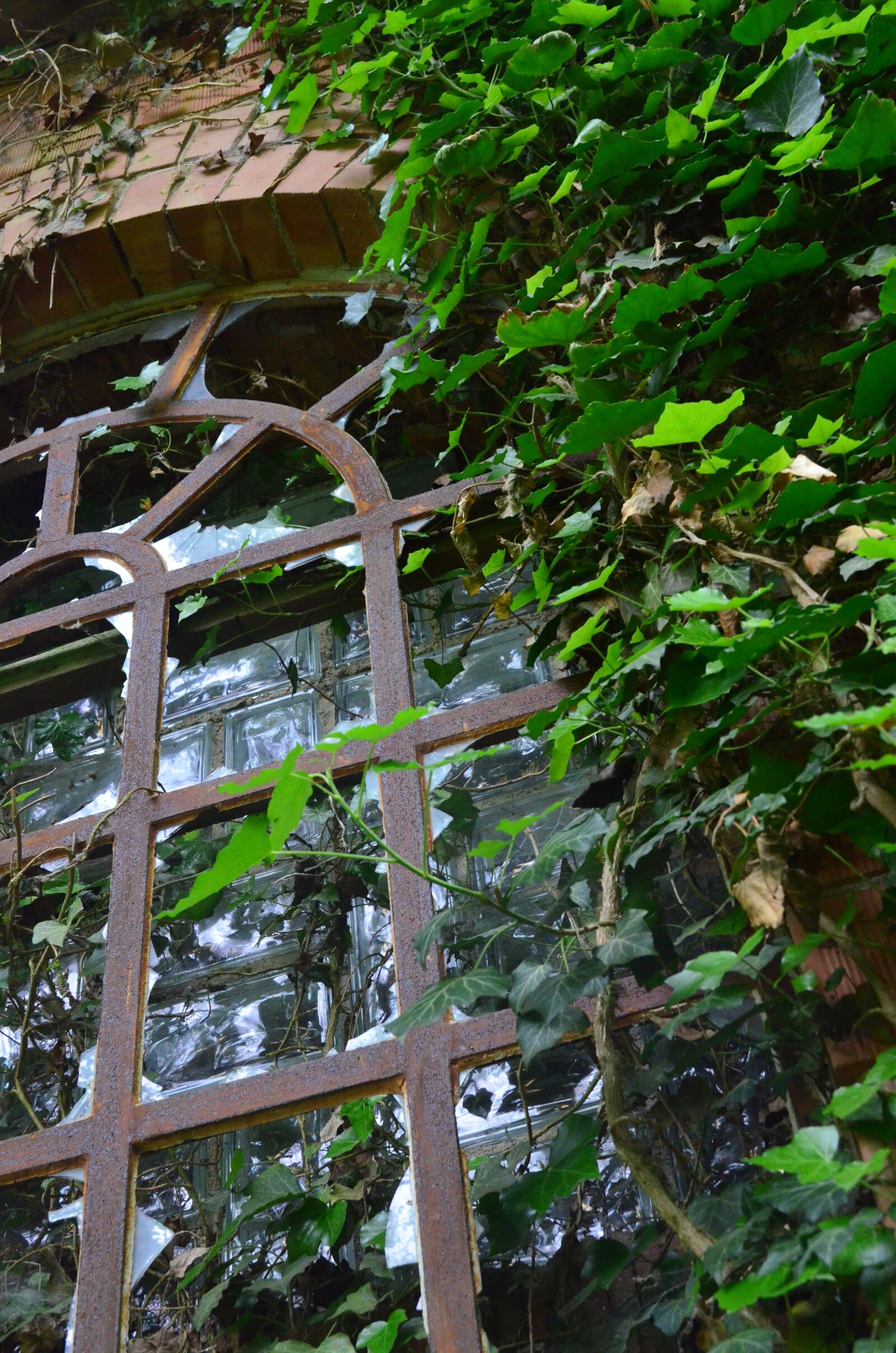 Nikon D5100 sample photo. Window, ruin, haunting photography