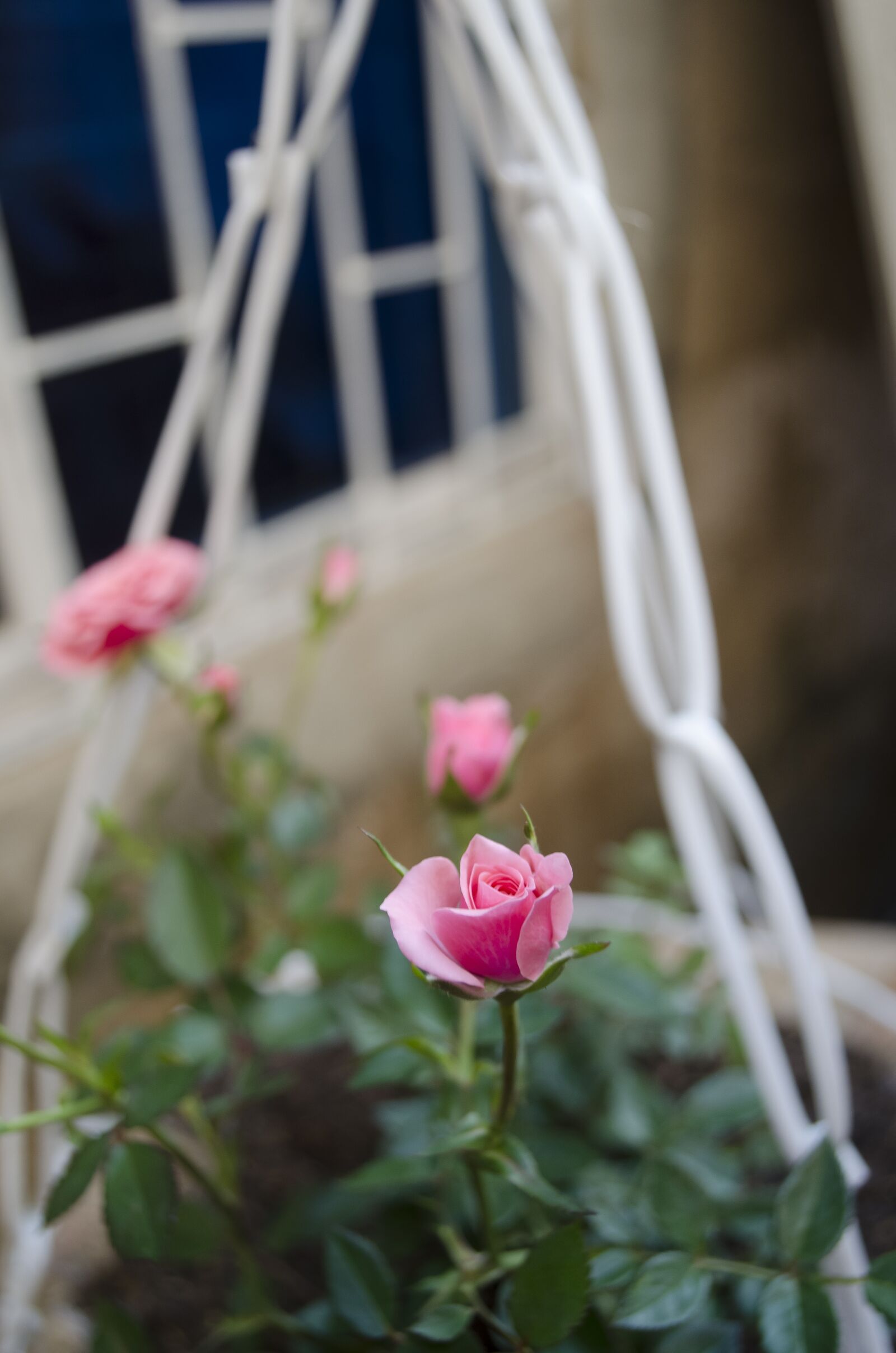 Nikon D5100 sample photo. Apa, but, water photography