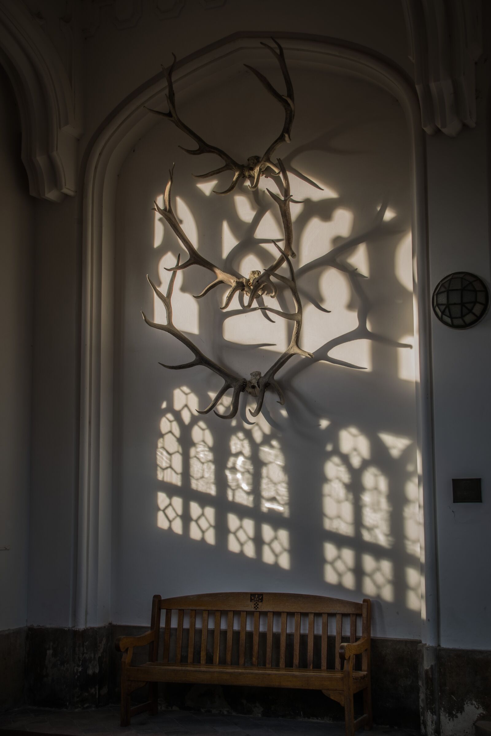 Nikon D5300 sample photo. Window, shadow, light photography