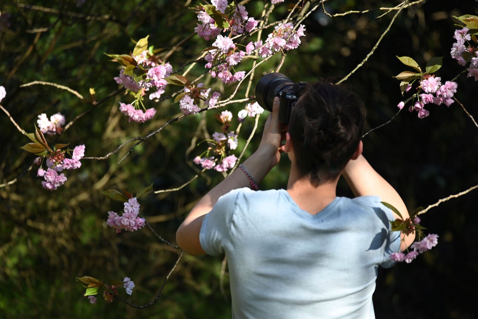 Nikon Z6 sample photo. Hobby, boy, photograph photography