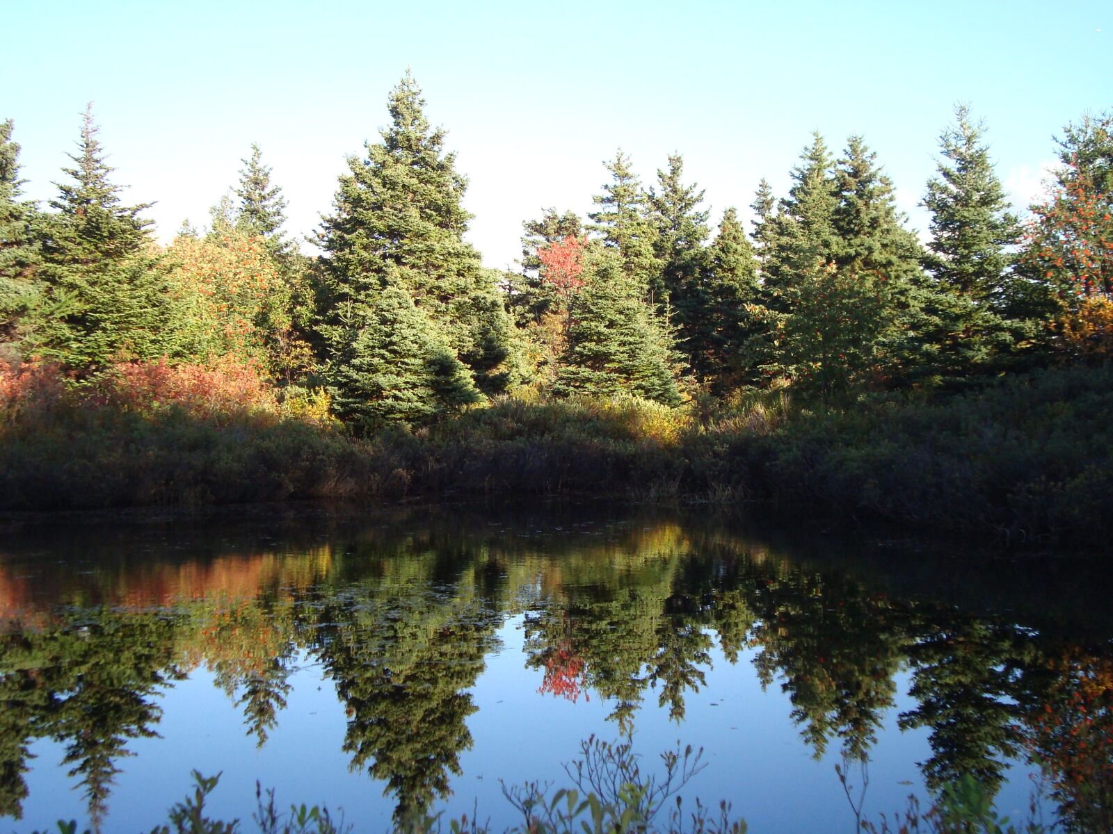 Sony Cyber-shot DSC-W120 sample photo. Pond, trees, reflection photography
